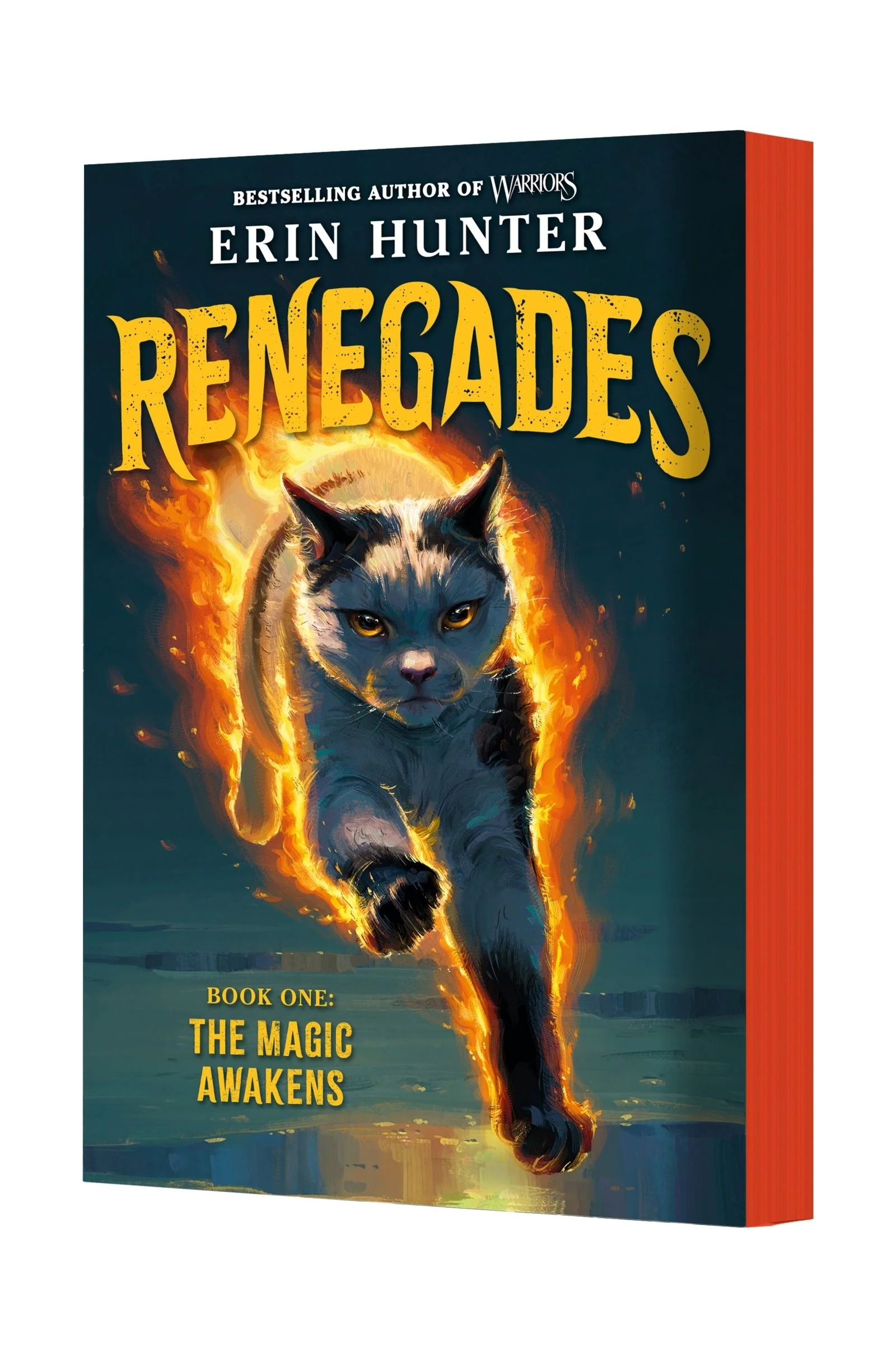 Renegades #1: The Magic Awakens - Image 3