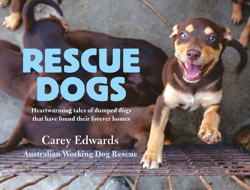 Rescue Dogs: Heartwarming tales of dumped dogs that have found their forever homes - Image 2