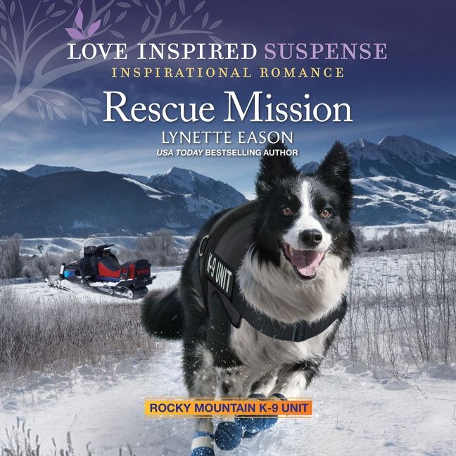 Rescue Mission - Image 2