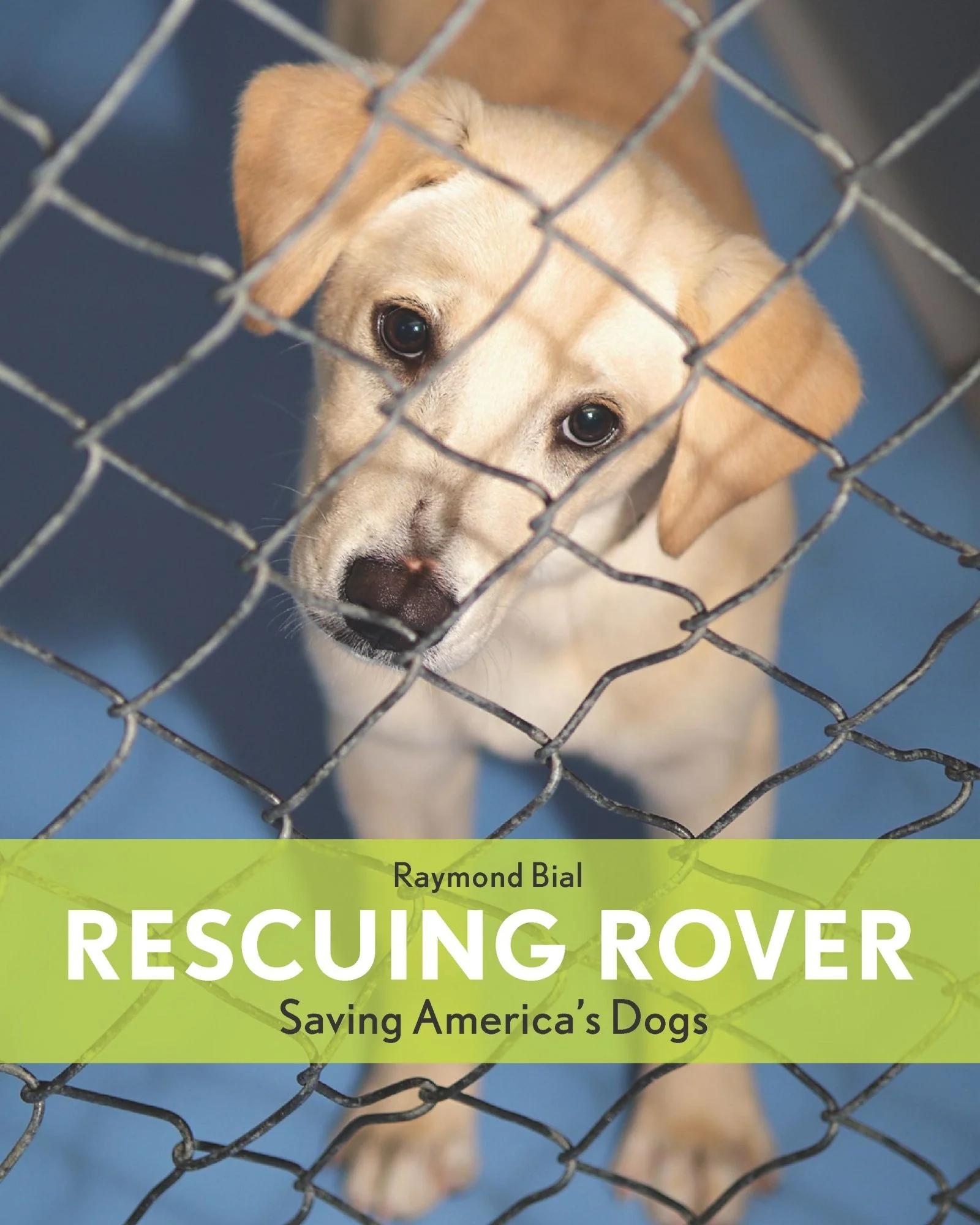 Rescuing Rover - Image 2
