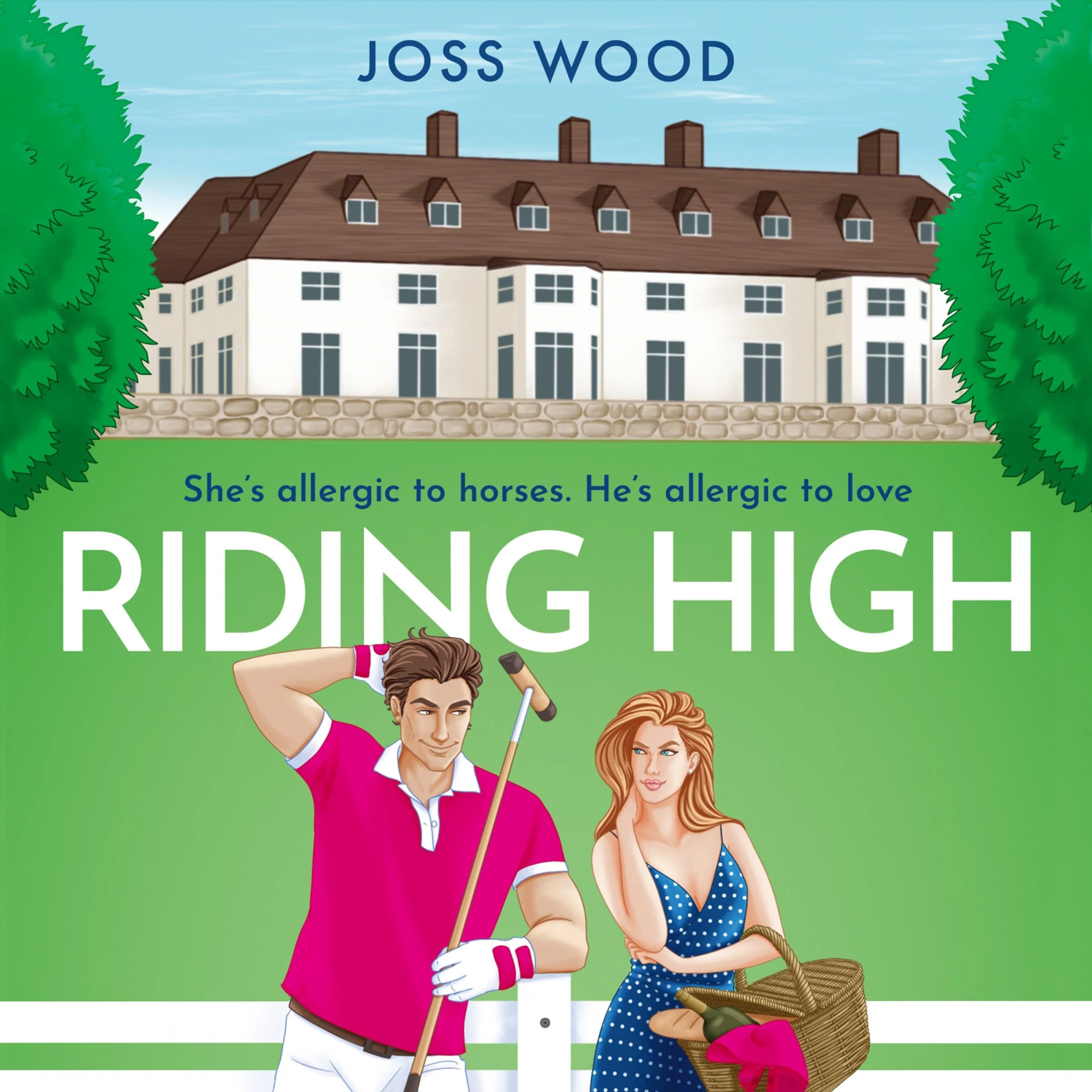 Riding High - Image 3