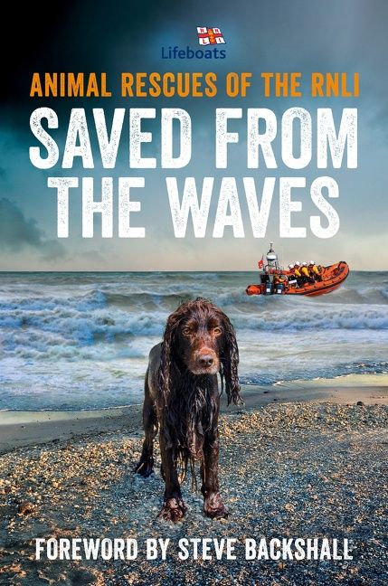 Saved from the Waves - Image 2