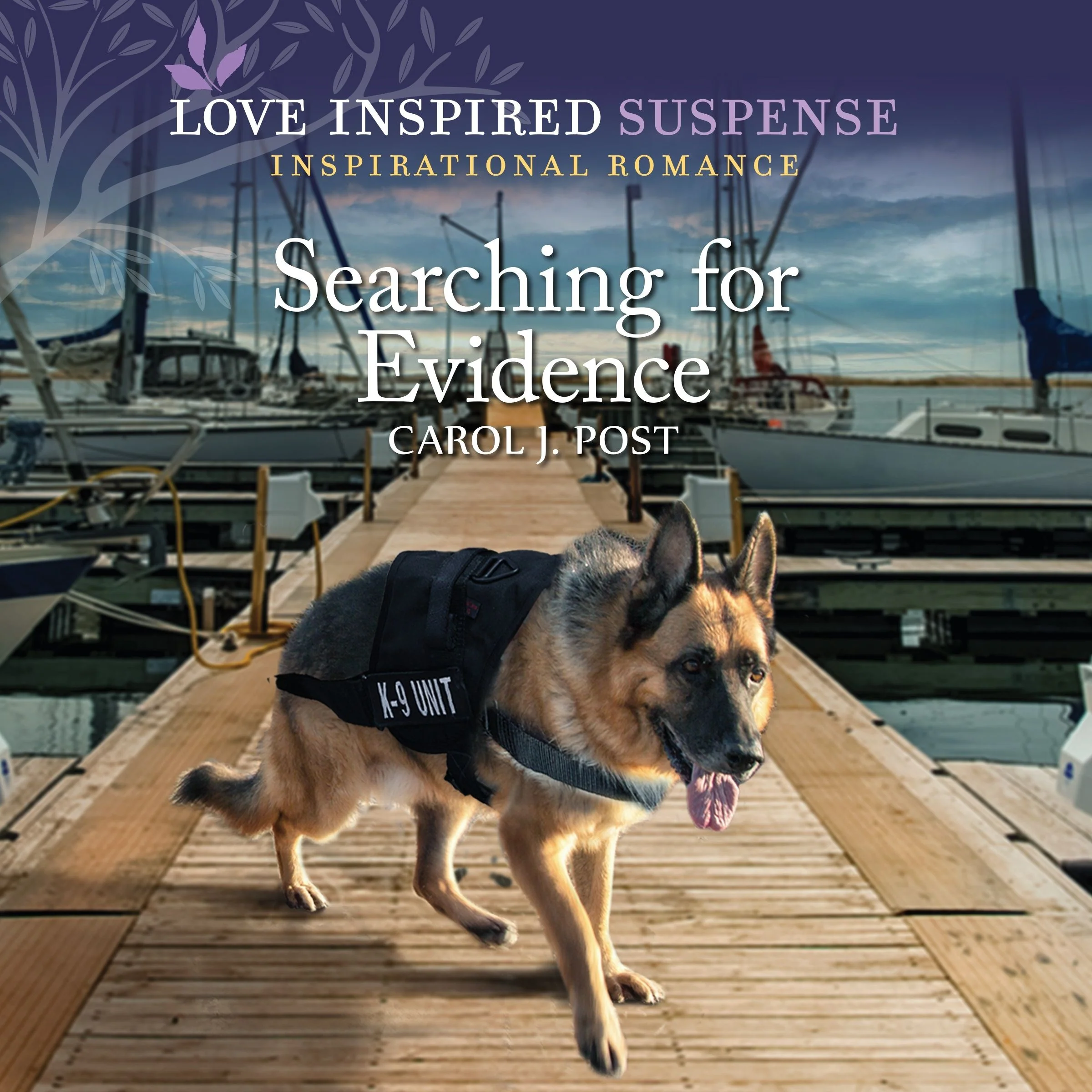 Searching for Evidence - Image 2