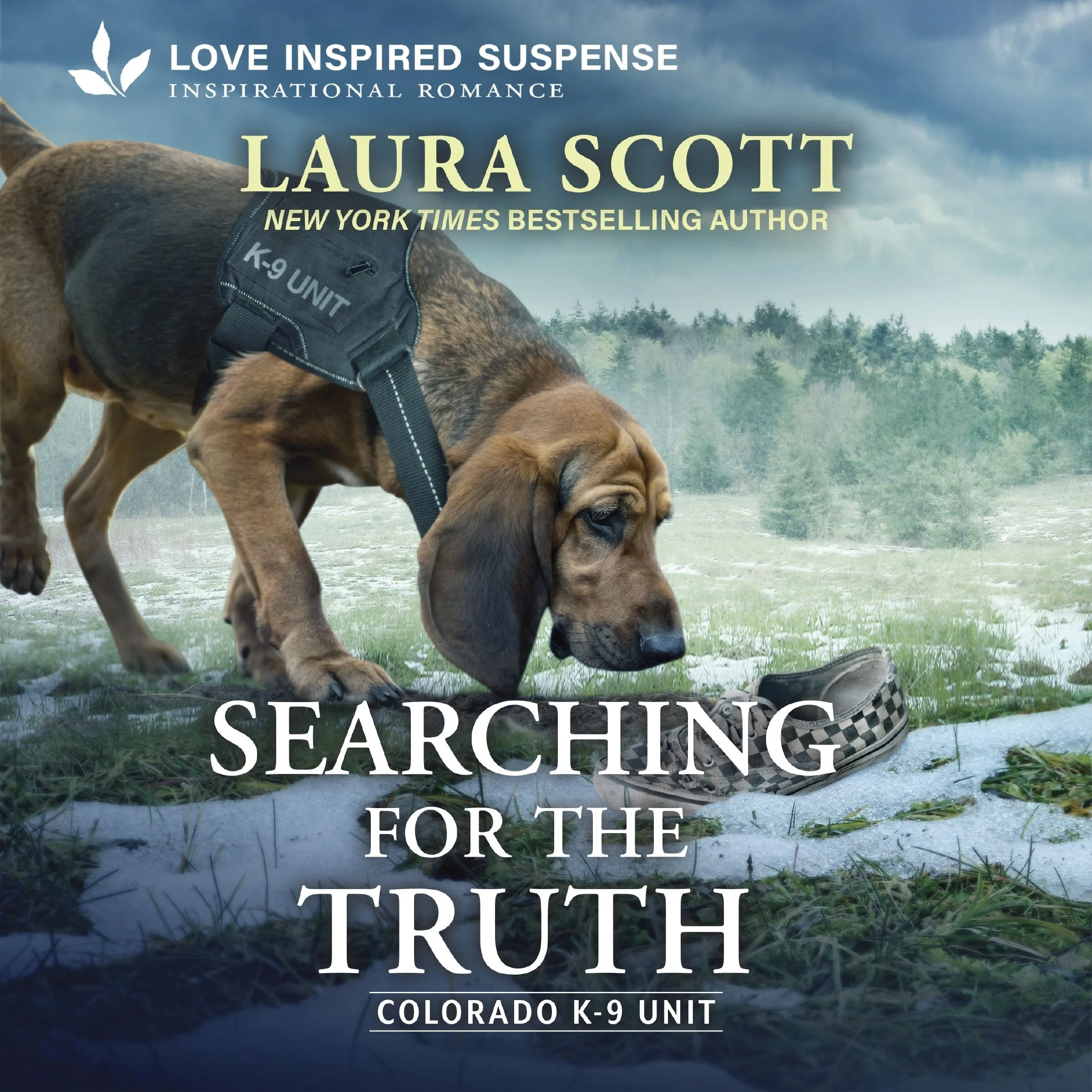 Searching for the Truth - Image 2