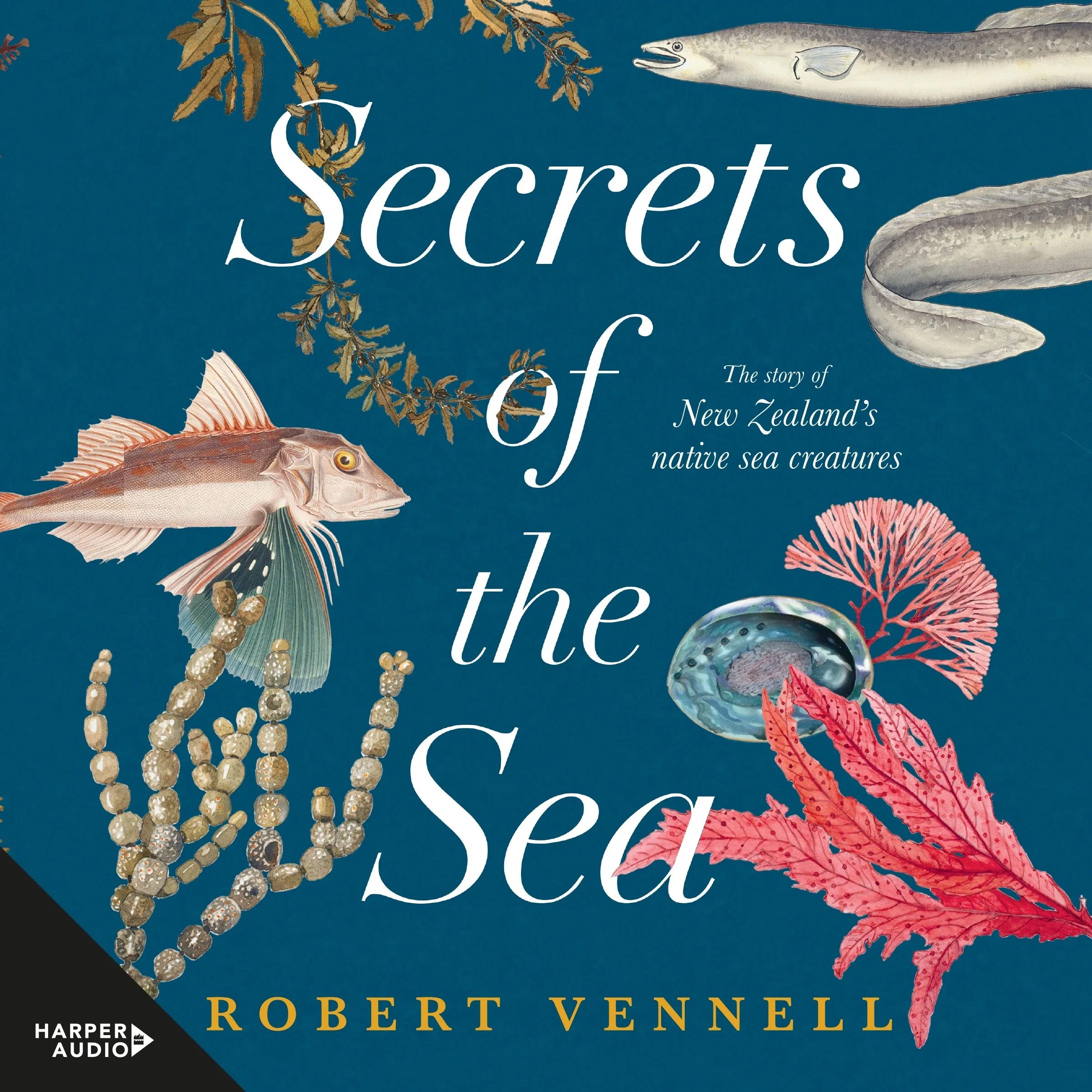 Secrets of the Sea: The story of New Zealand's native sea creatures - Image 2