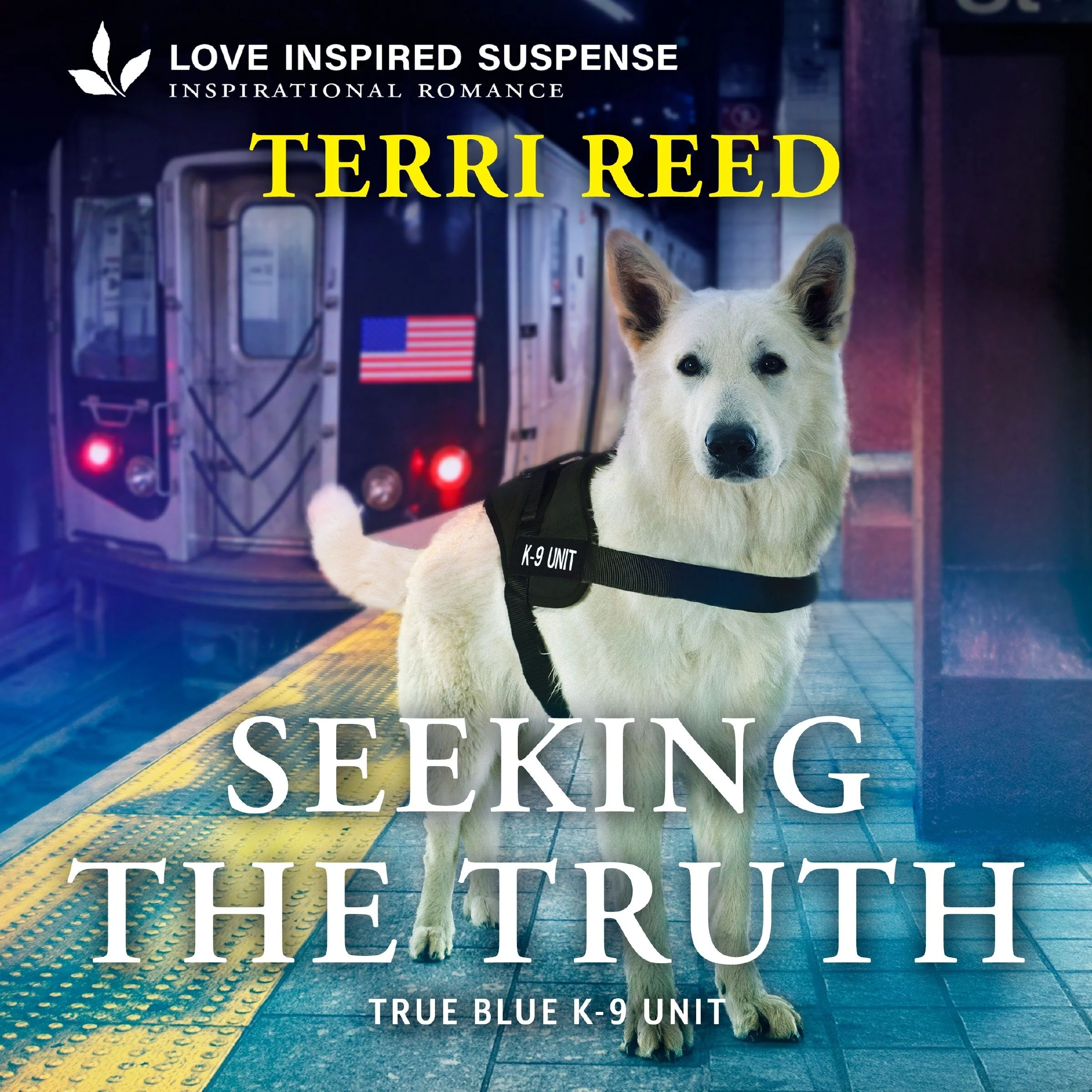 Seeking the Truth - Image 2