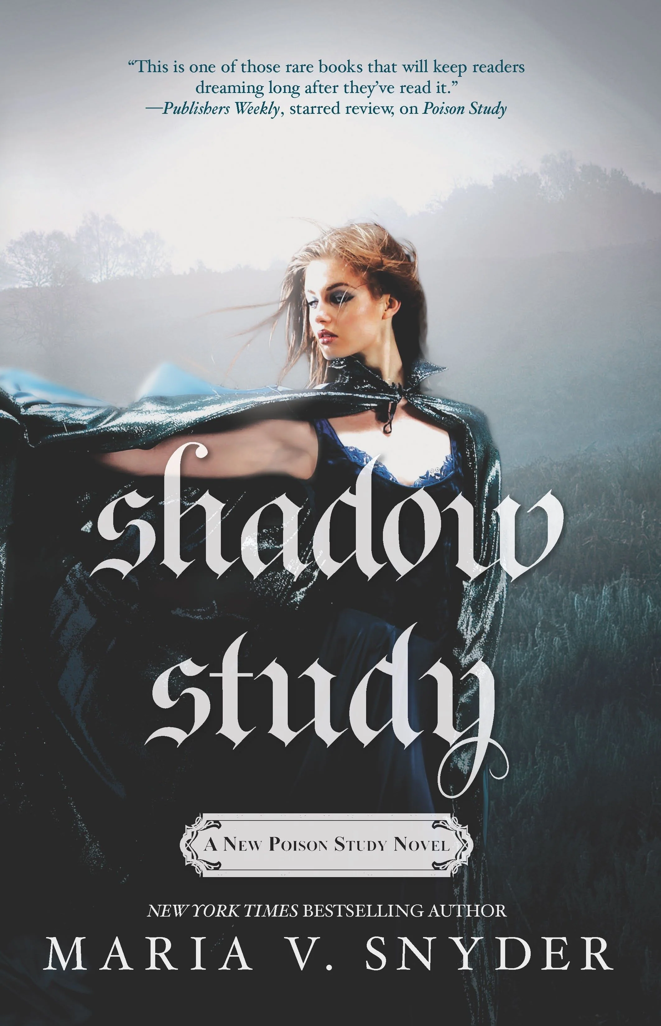 Shadow Study - Image 3