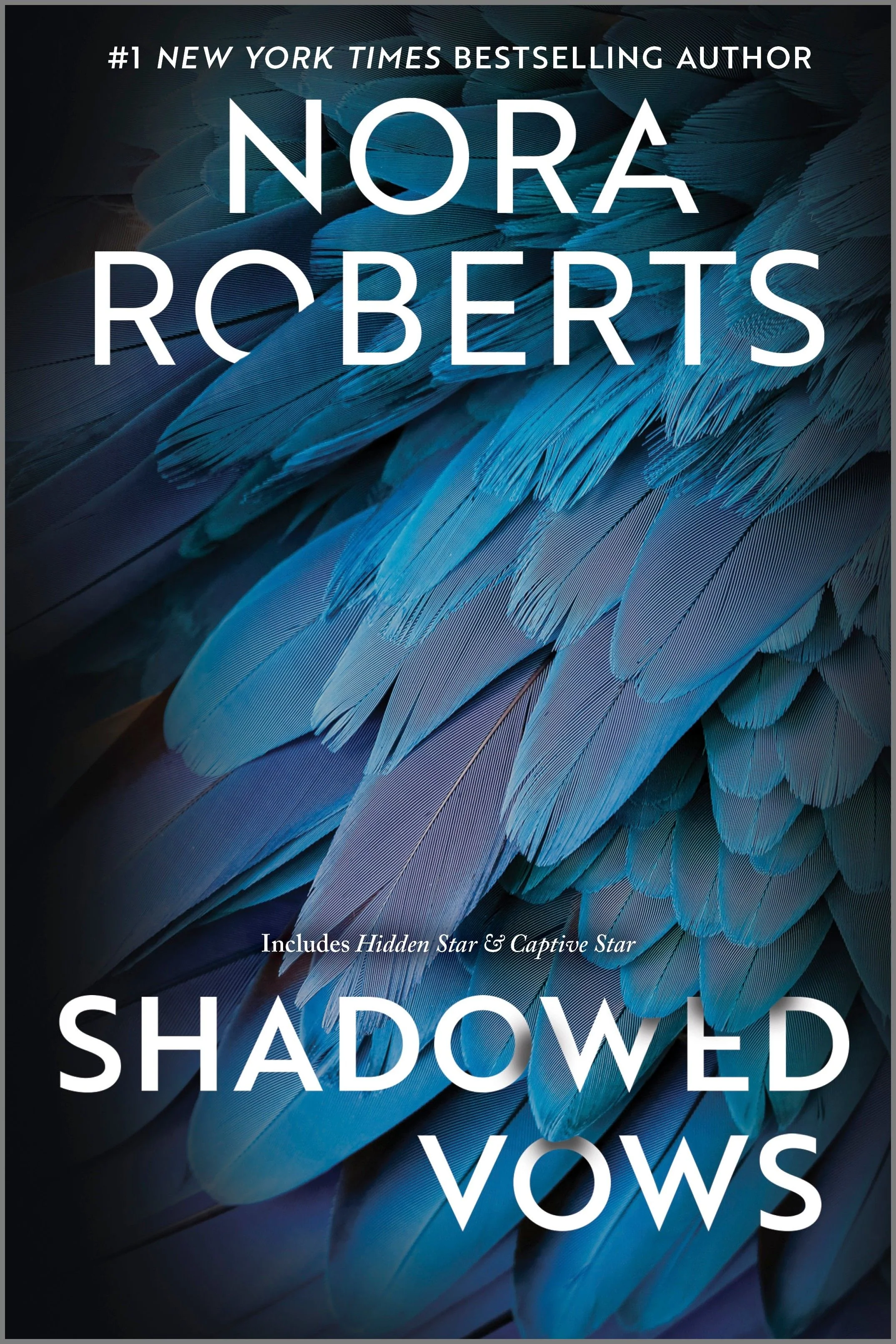 Shadowed Vows - Image 2
