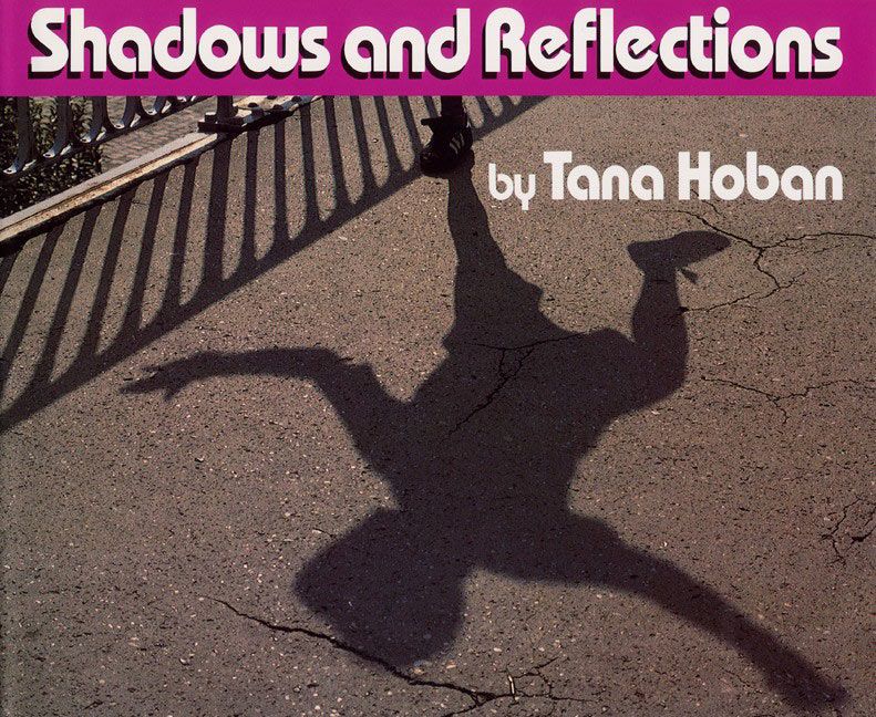 Shadows and Reflections - Image 2