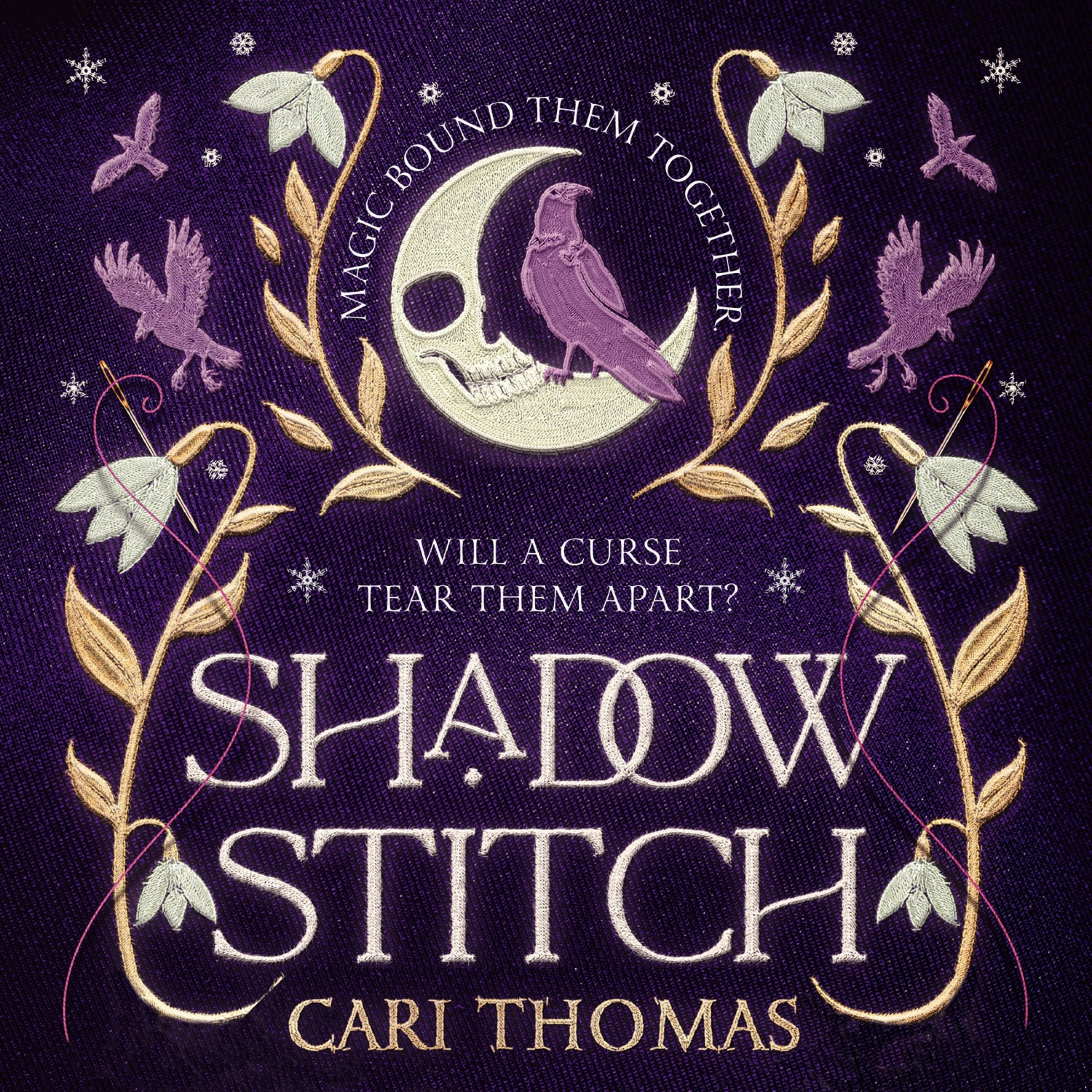 Shadowstitch (Threadneedle, Book 2) - Image 3