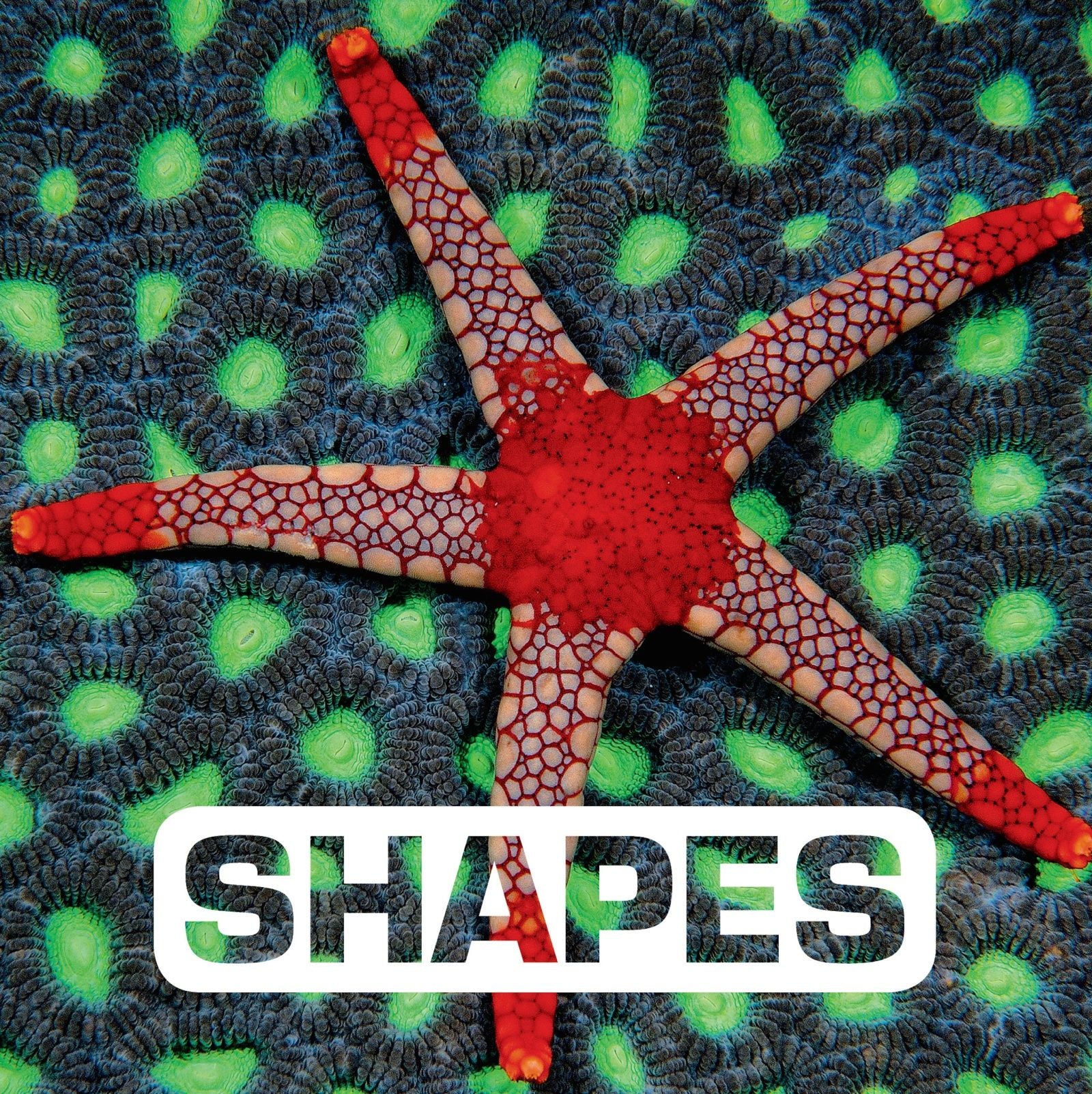 Shapes - Image 2