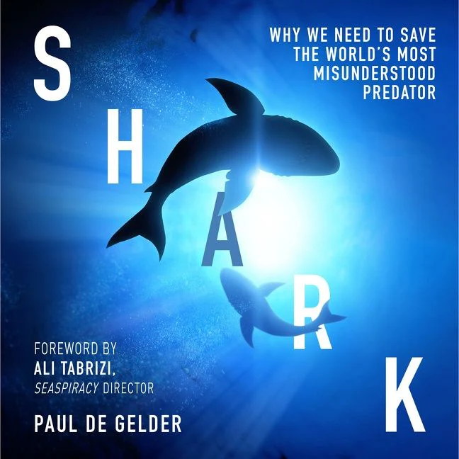 Shark: Why we need to save the world’s most misunderstood predator - Image 3