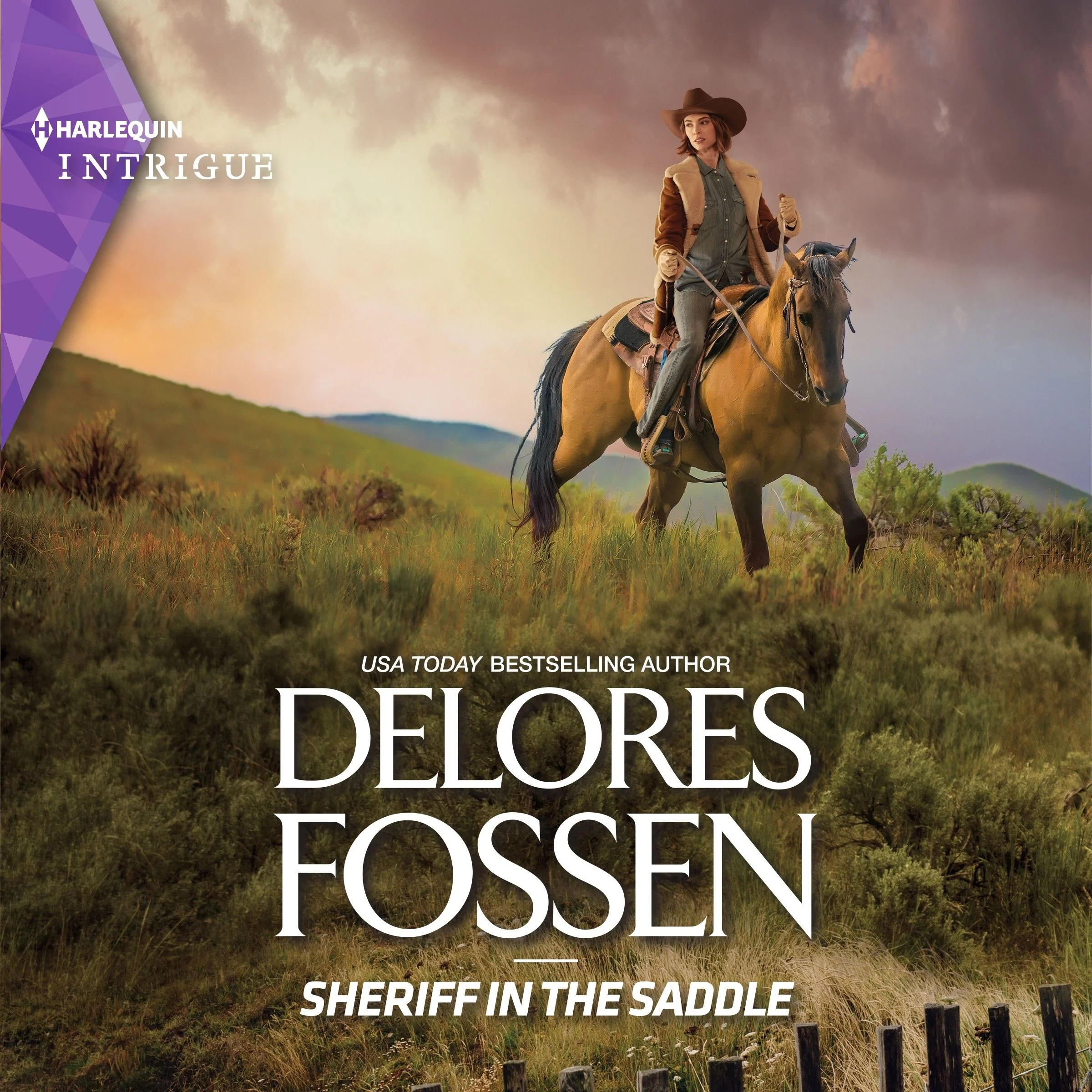 Sheriff in the Saddle - Image 2