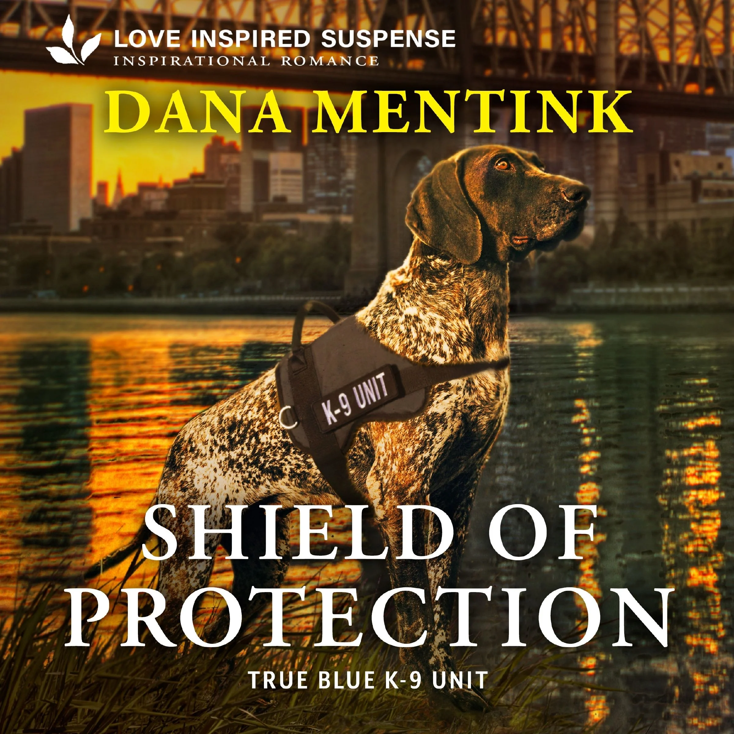 Shield of Protection - Image 2