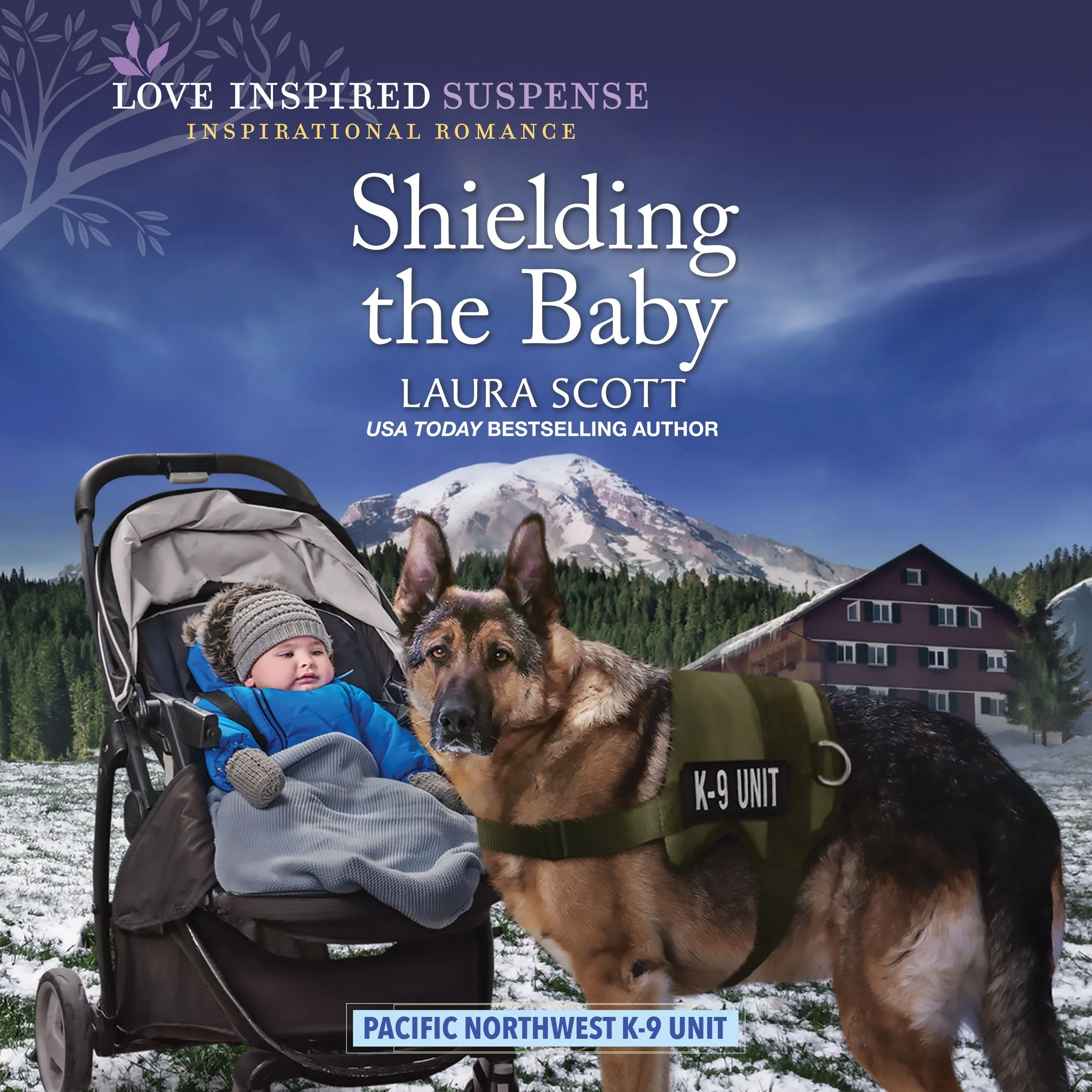 Shielding the Baby - Image 2