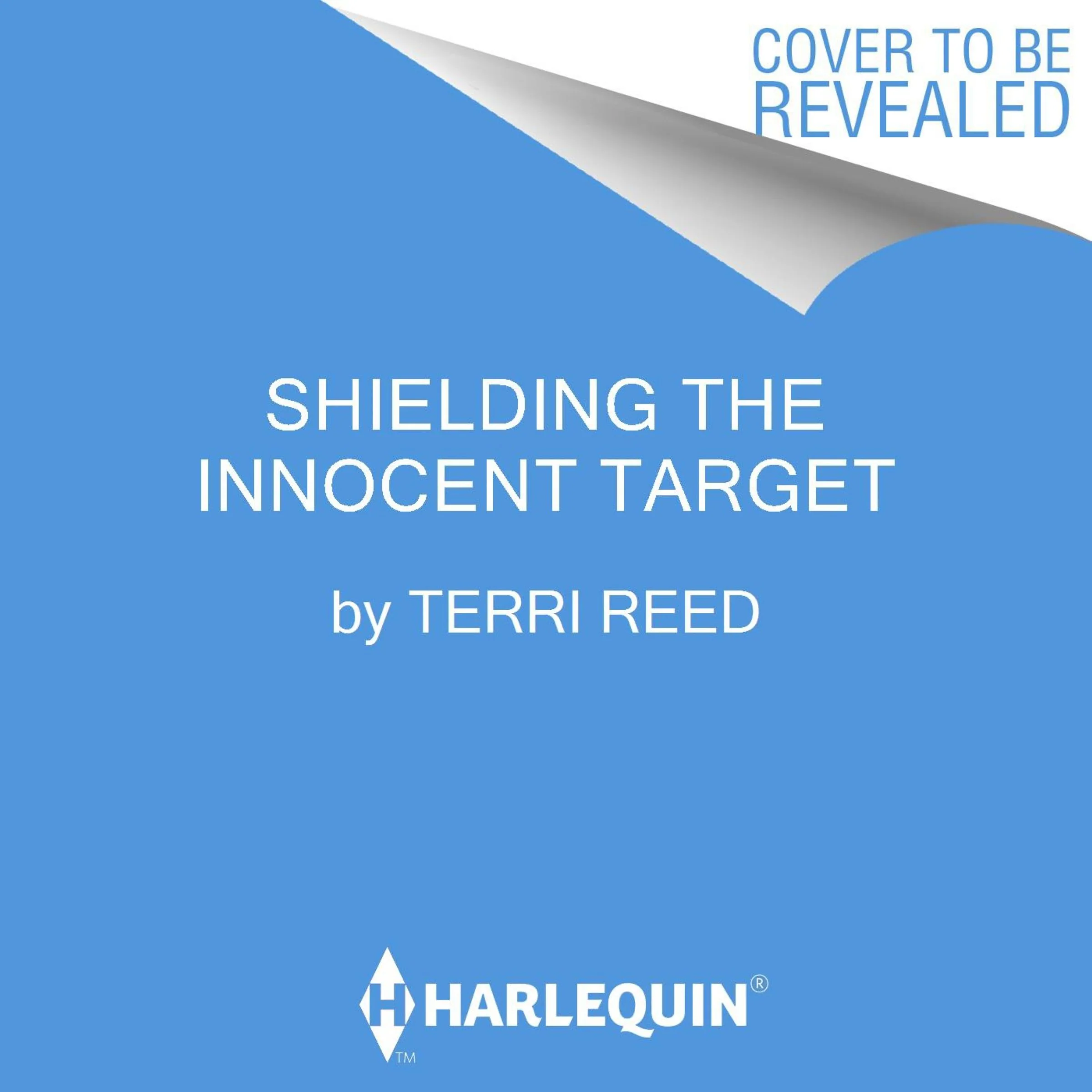 Shielding the Innocent Target - Image 2