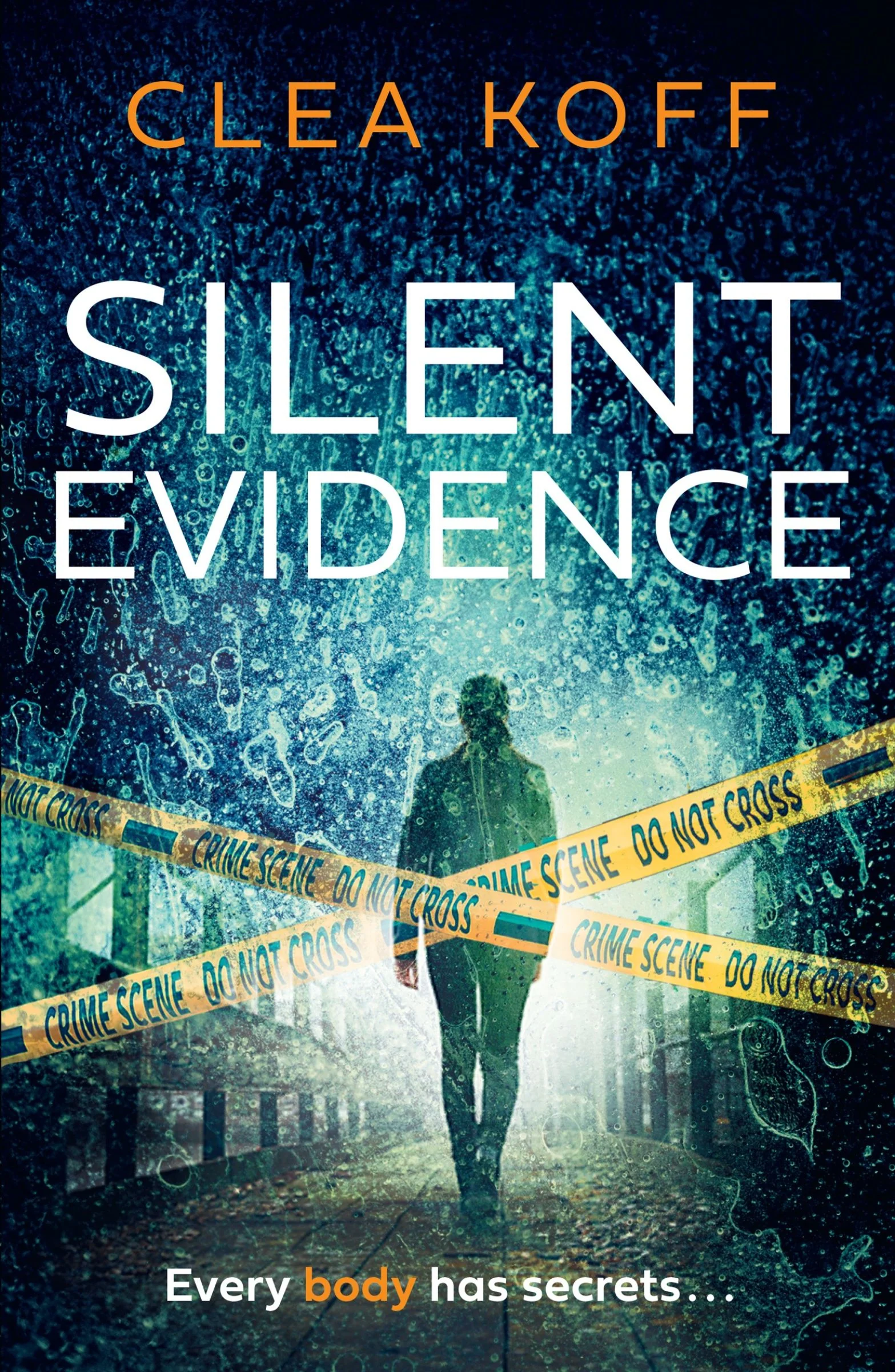 Silent Evidence (The Jayne and Steelie Series, Book 1) - Image 3