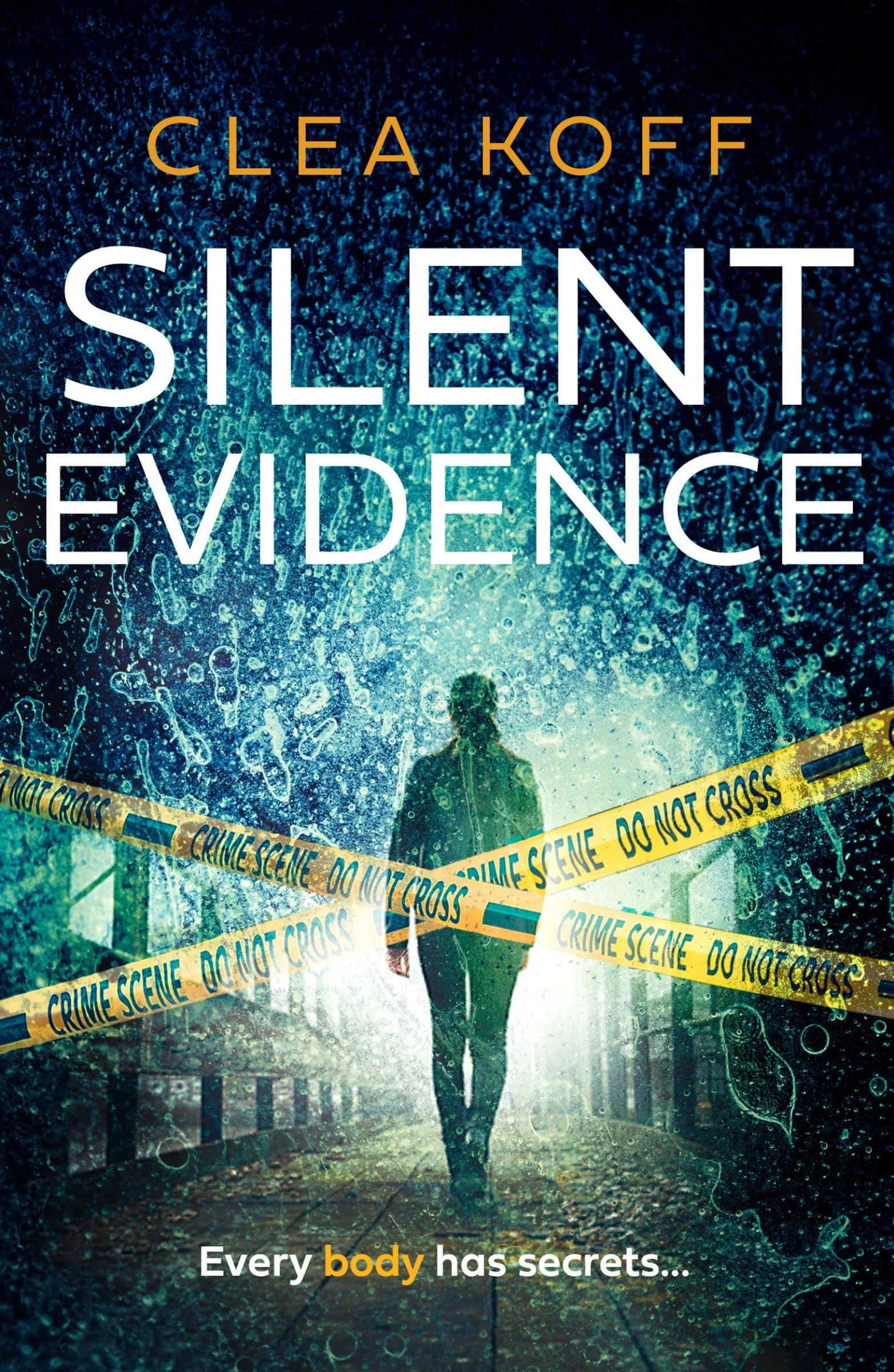 Silent Evidence (The Jayne and Steelie Series, Book 1) - Image 5