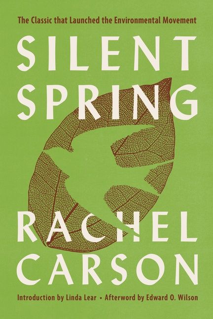 Silent Spring - Image 3