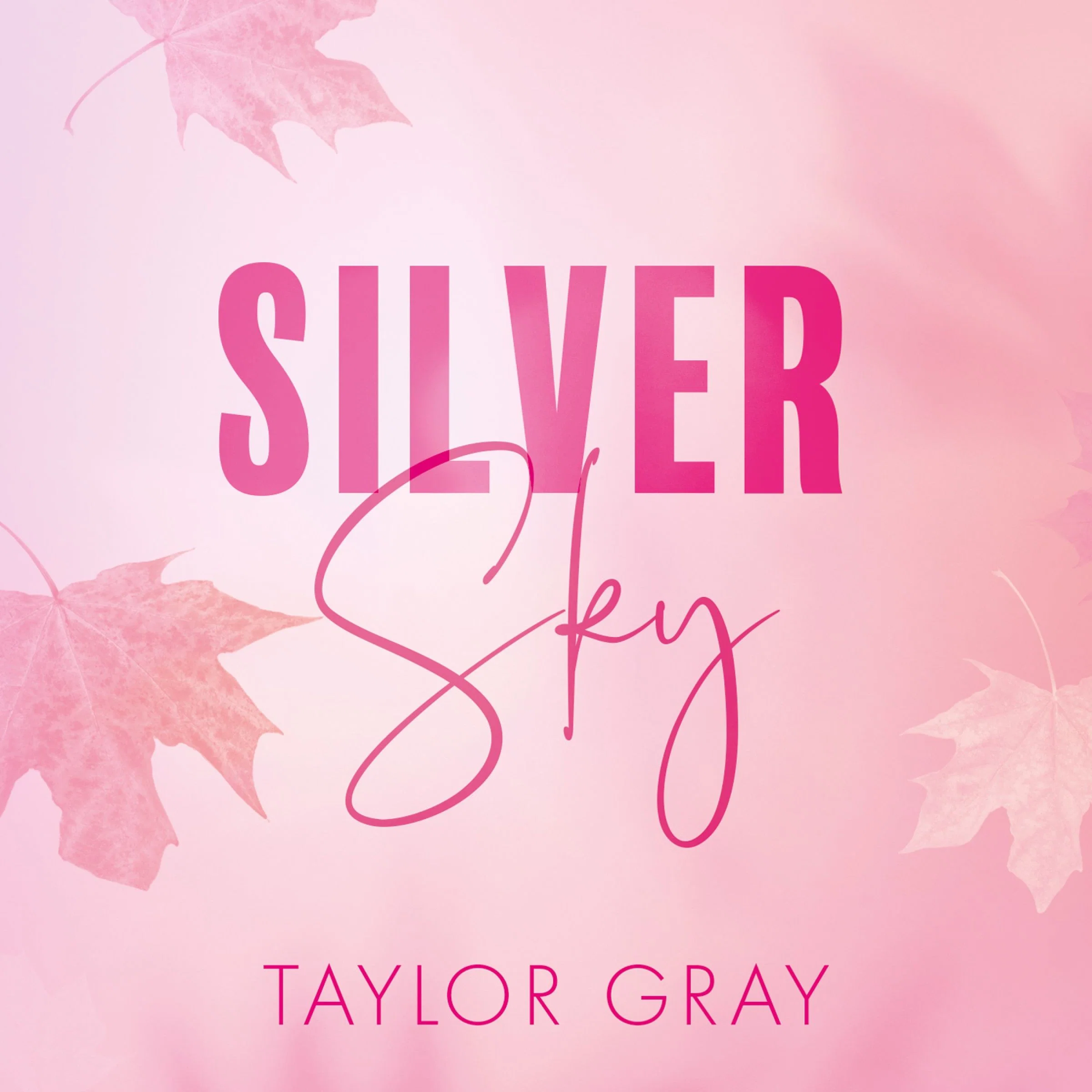 Silver Sky (The Carter Brothers, Book 2) - Image 3