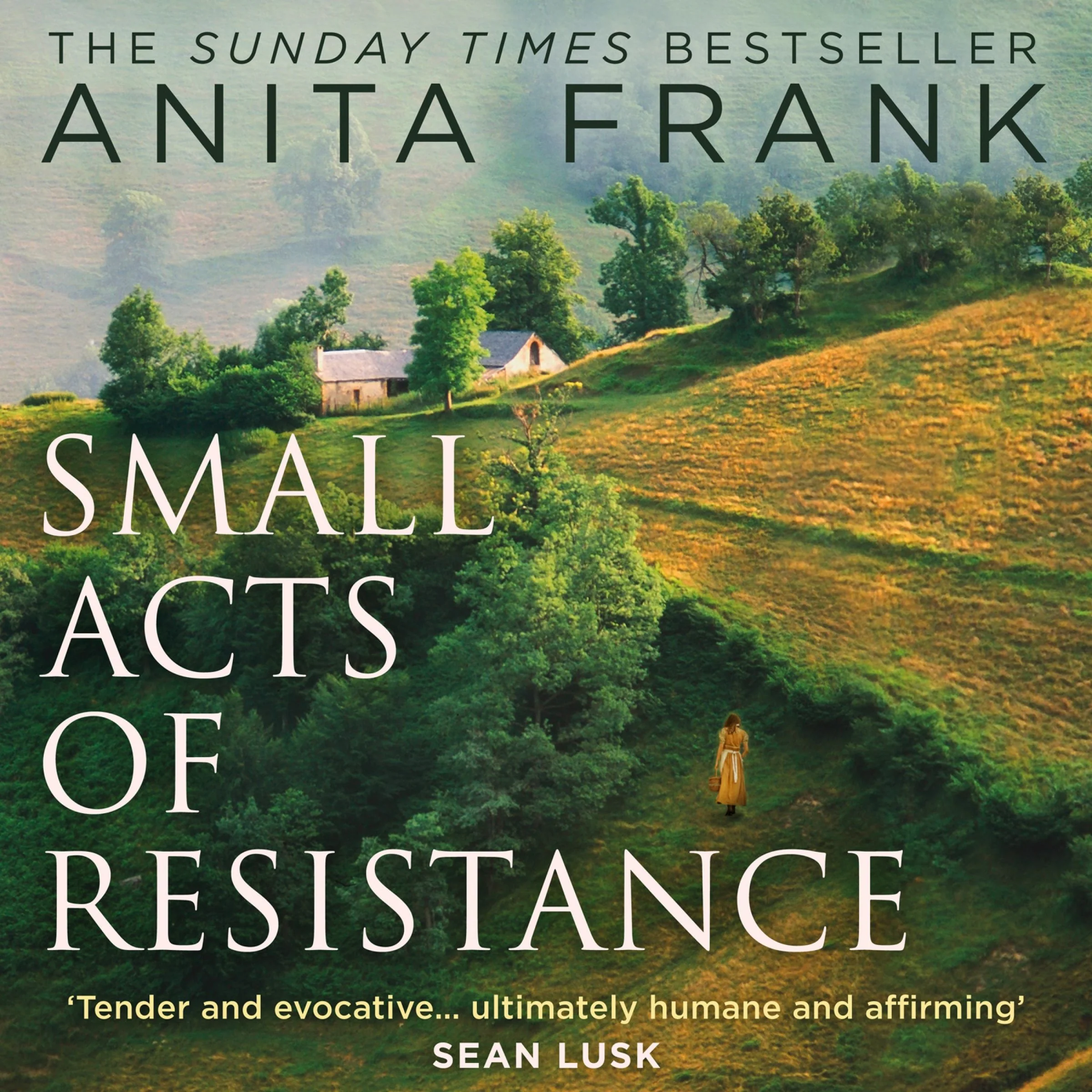 Small Acts of Resistance - Image 3