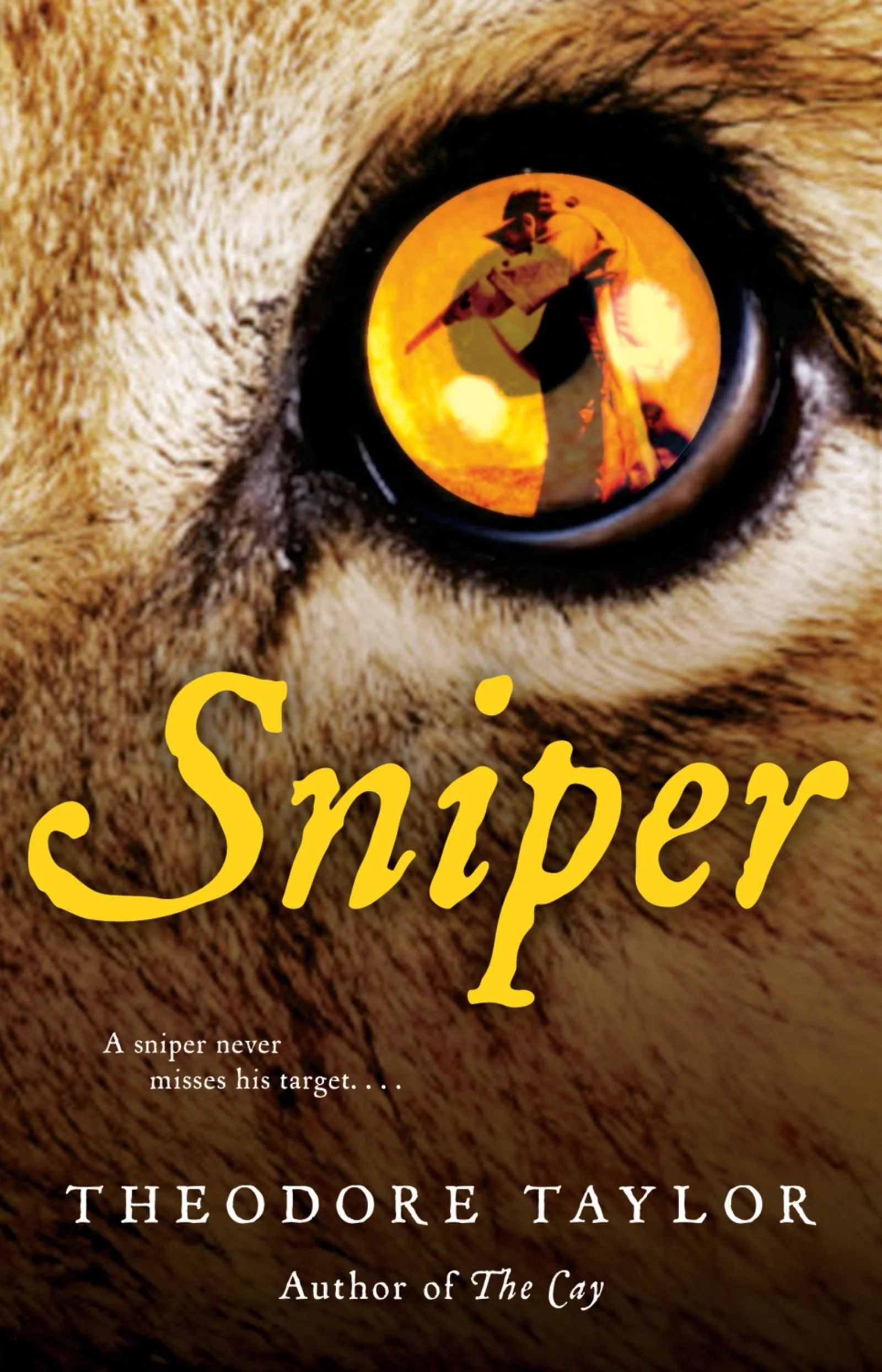 Sniper - Image 2