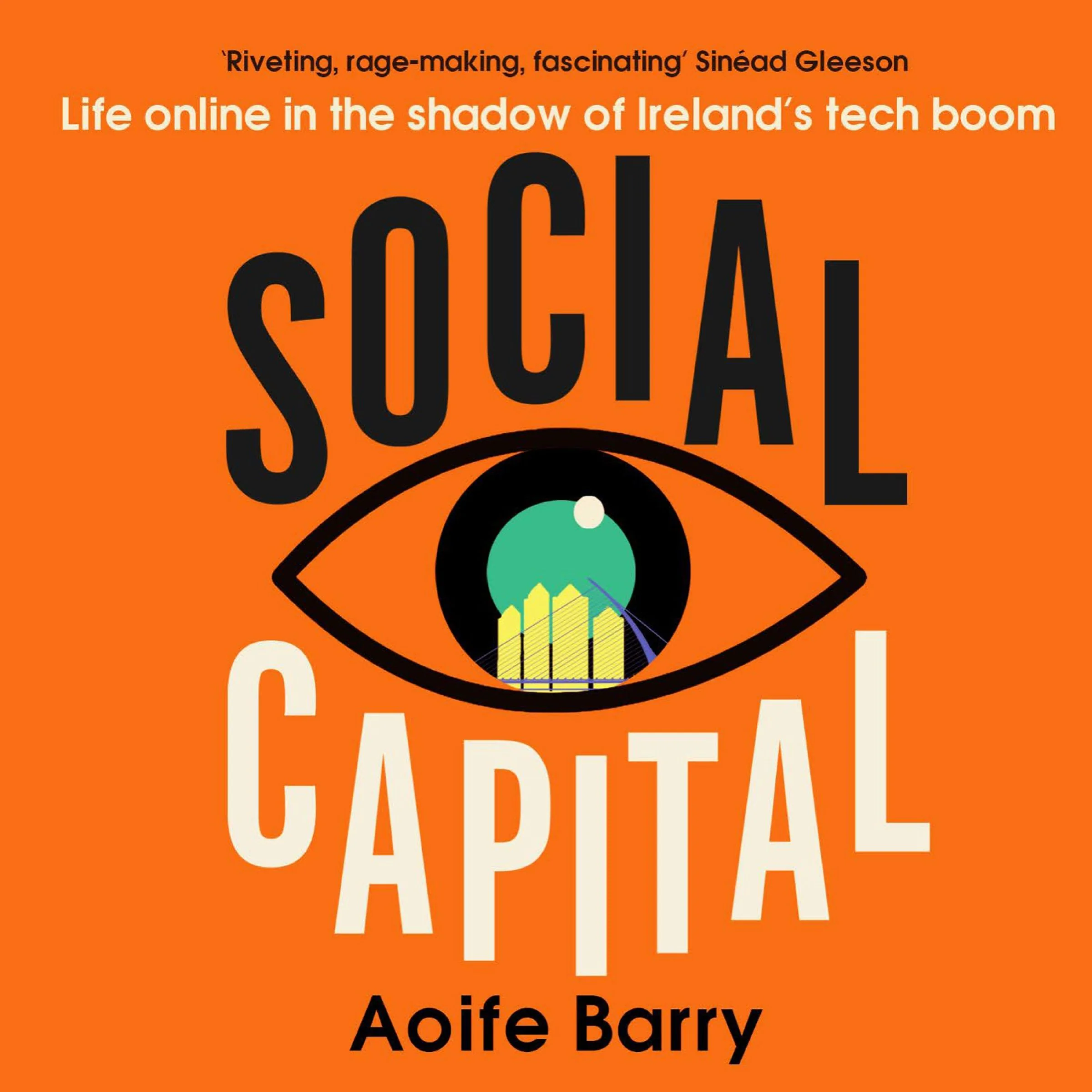 Social Capital: Life online in the shadow of Ireland’s tech boom - Image 3