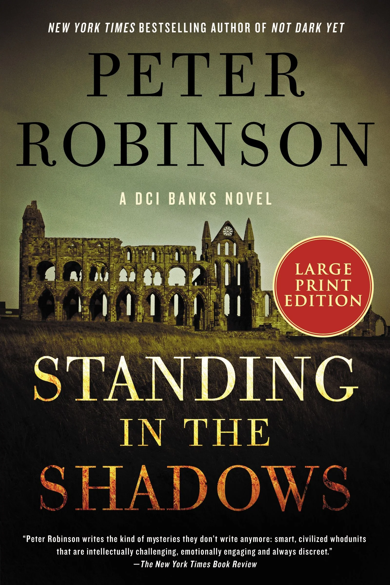 Standing in the Shadows - Image 4