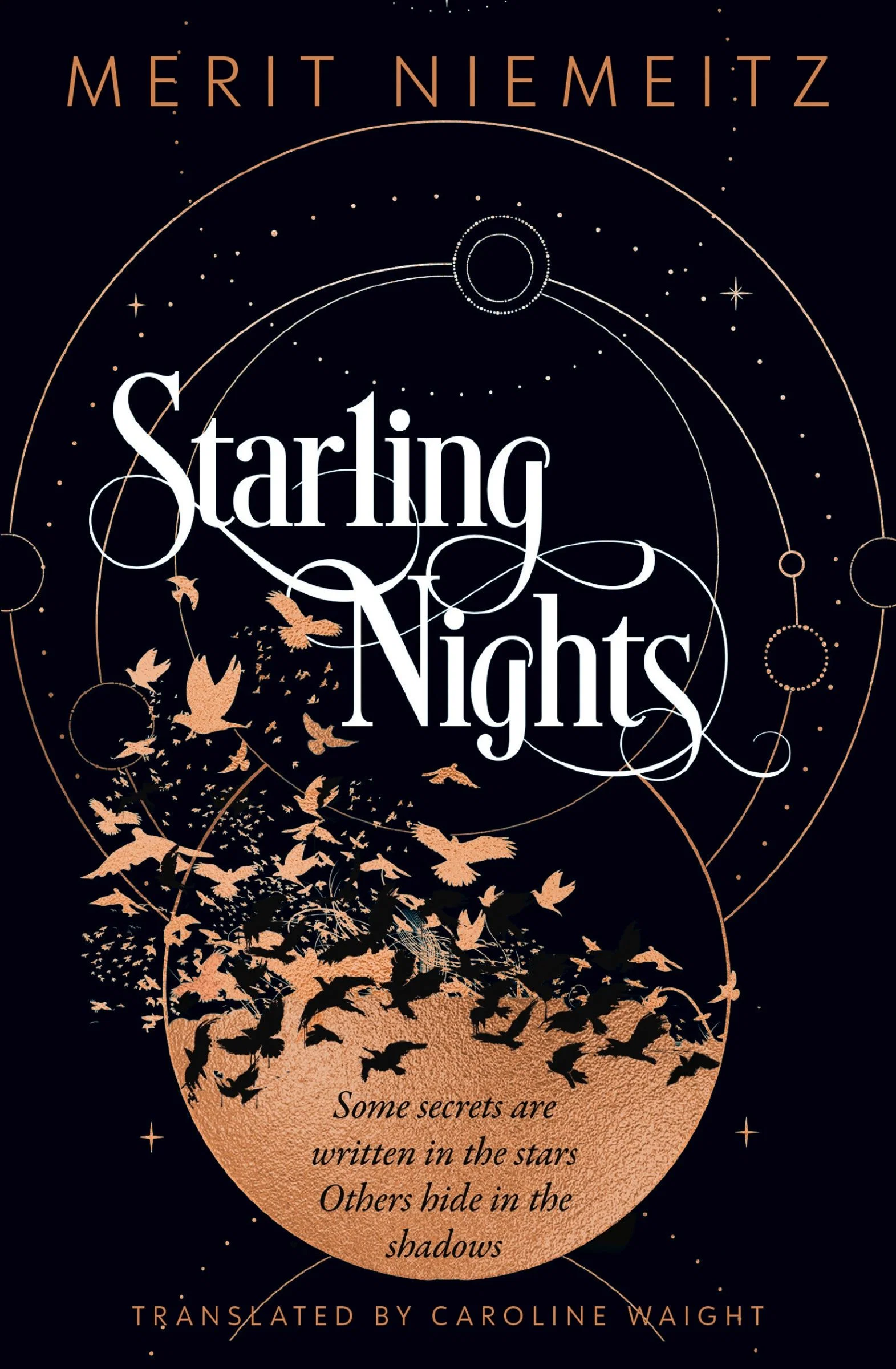 Starling Nights - Image 2