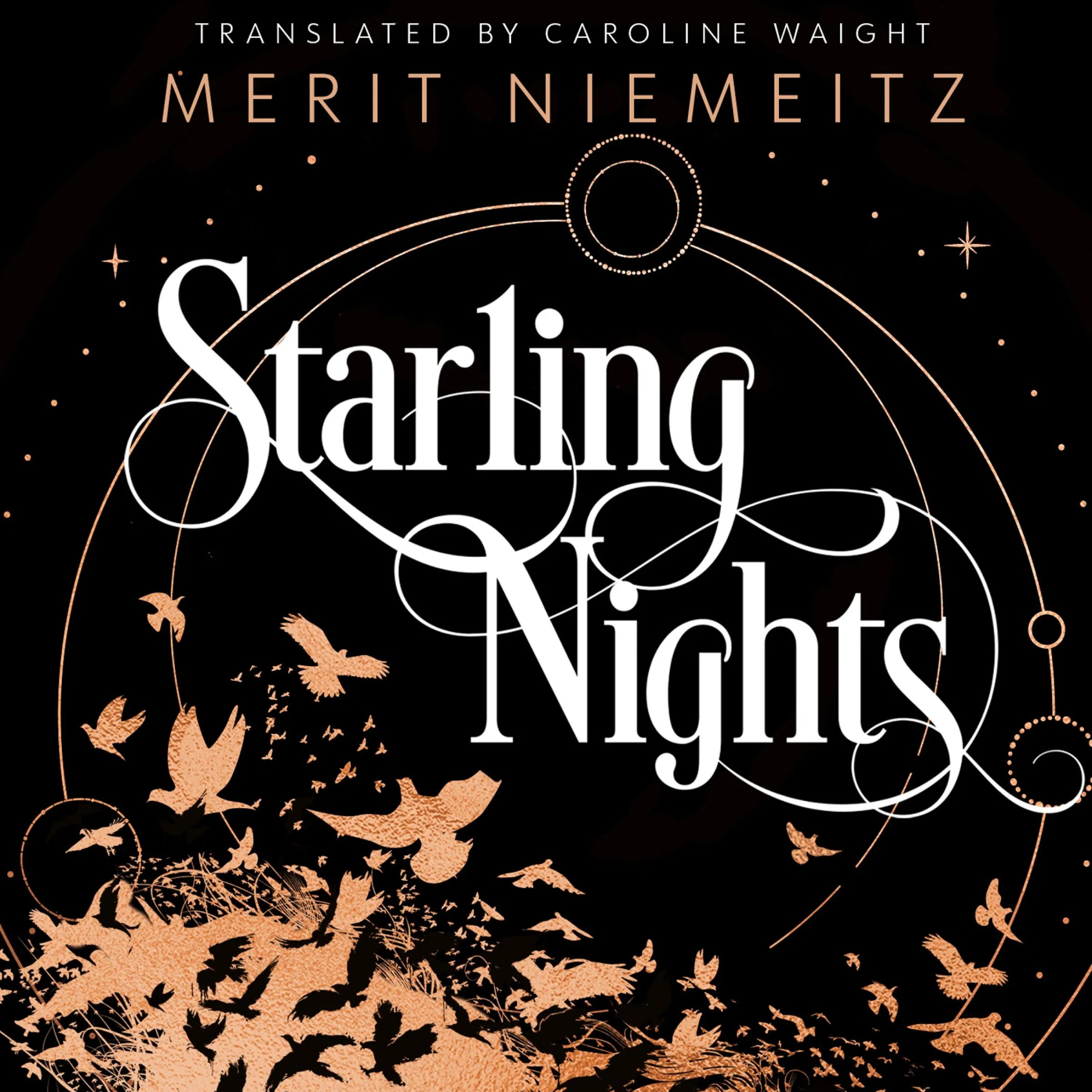 Starling Nights - Image 4