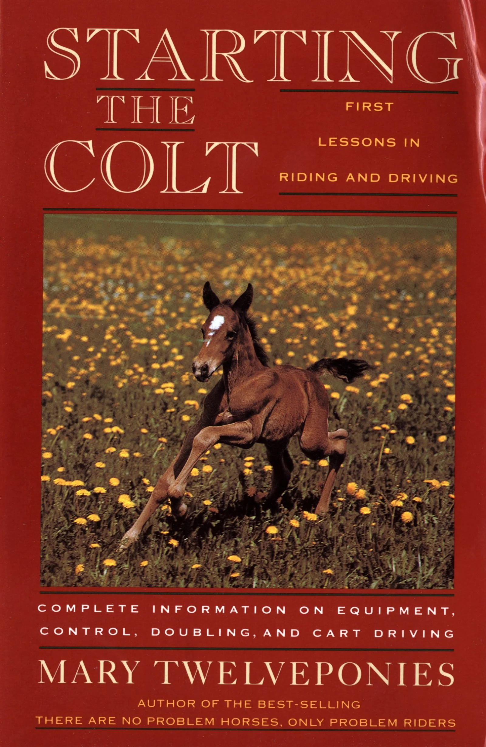 Starting The Colt - Image 2