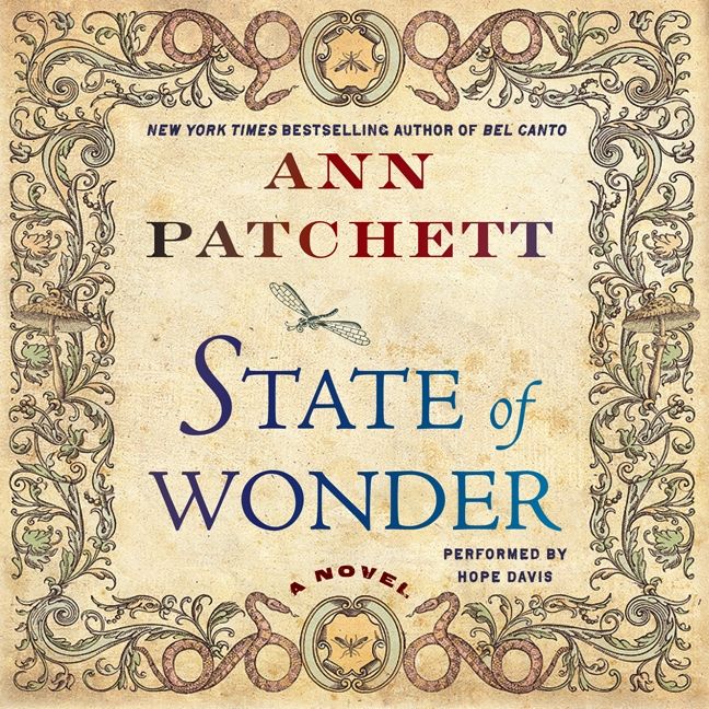 State of Wonder - Image 3