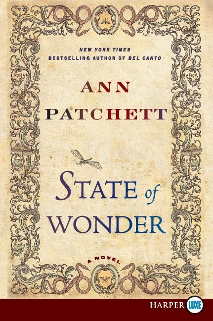 State of Wonder - Image 5