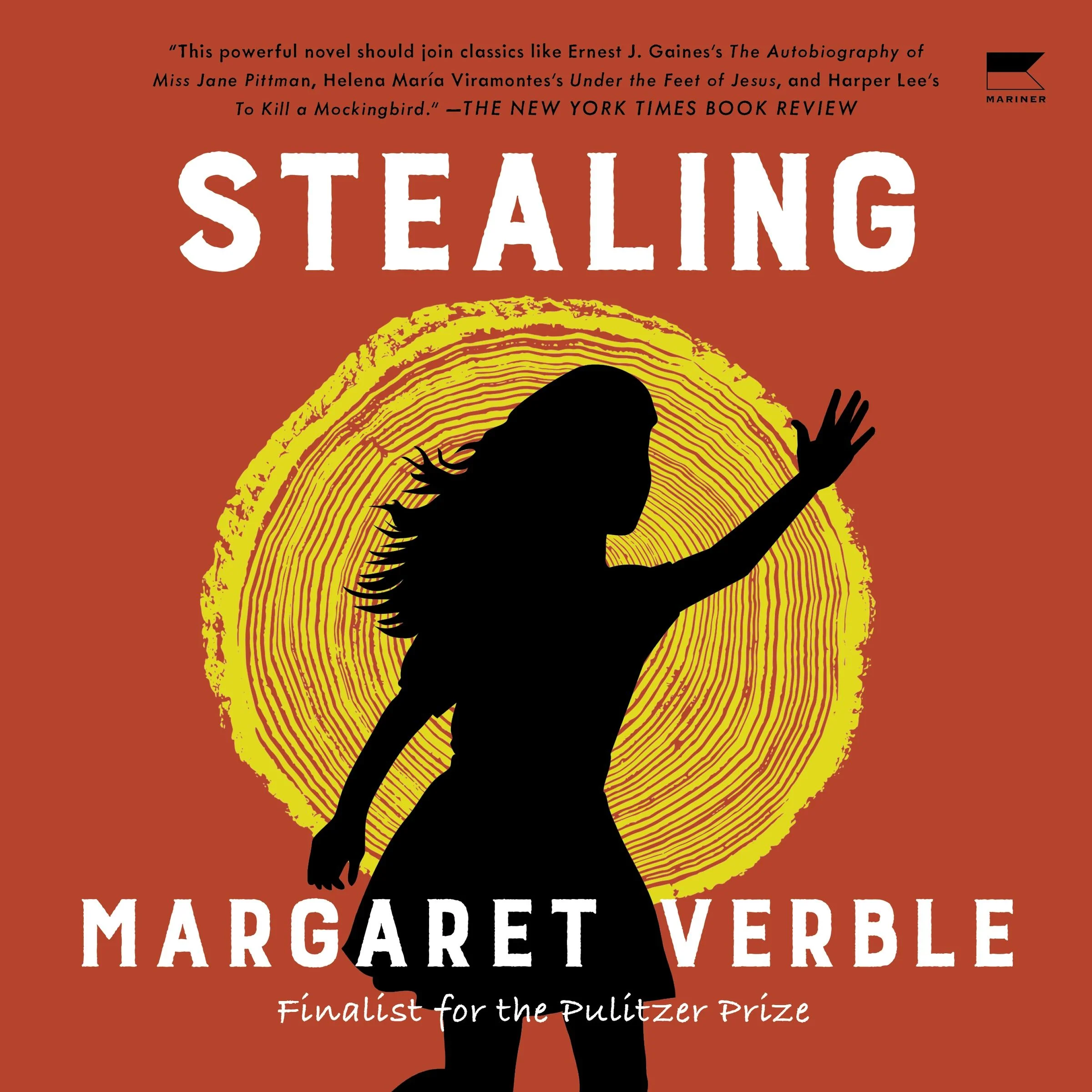 Stealing - Image 5