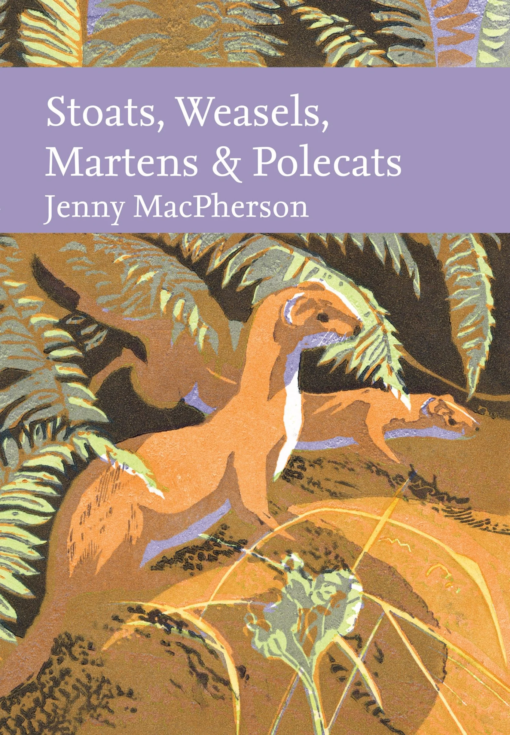 Stoats, Weasels, Martens and Polecats (Collins New Naturalist Library) - Image 3