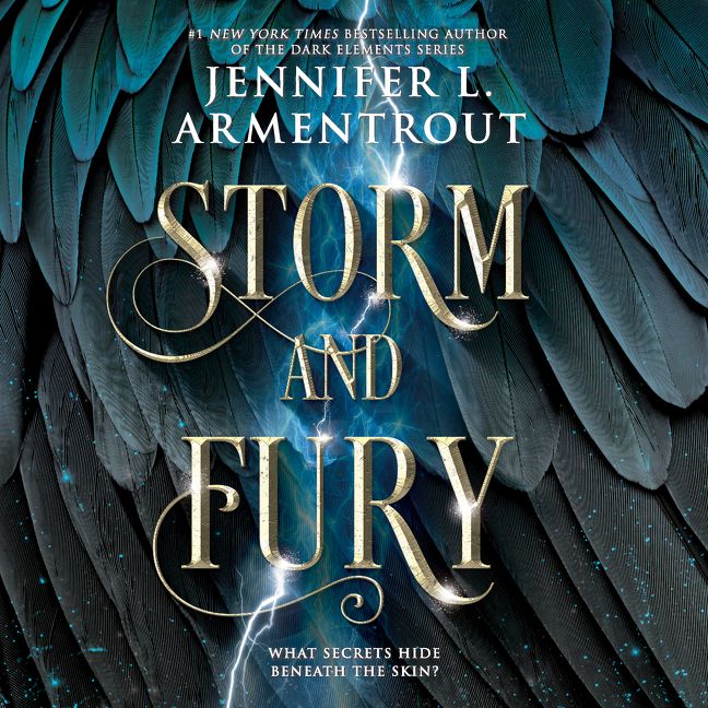 Storm and Fury - Image 5