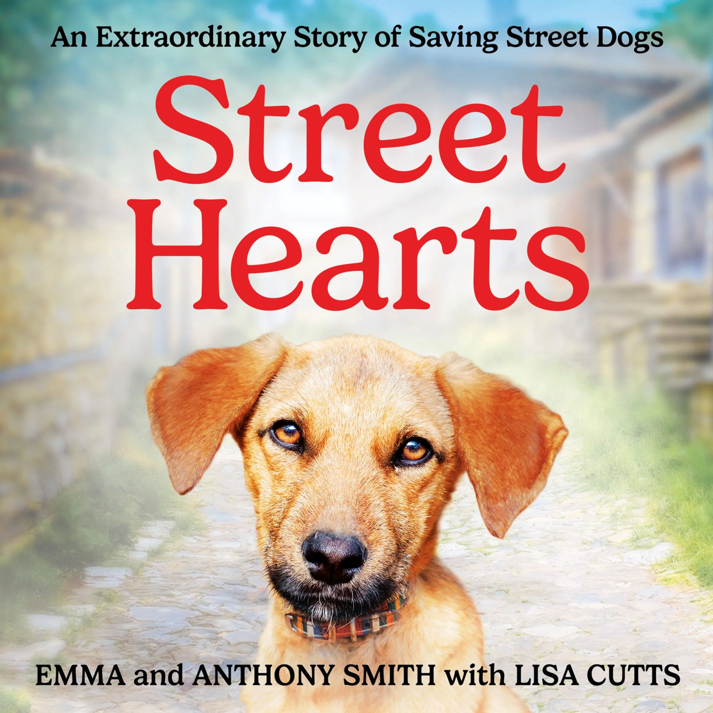 Street Hearts: An Extraordinary Story of Saving Street Dogs - Image 2
