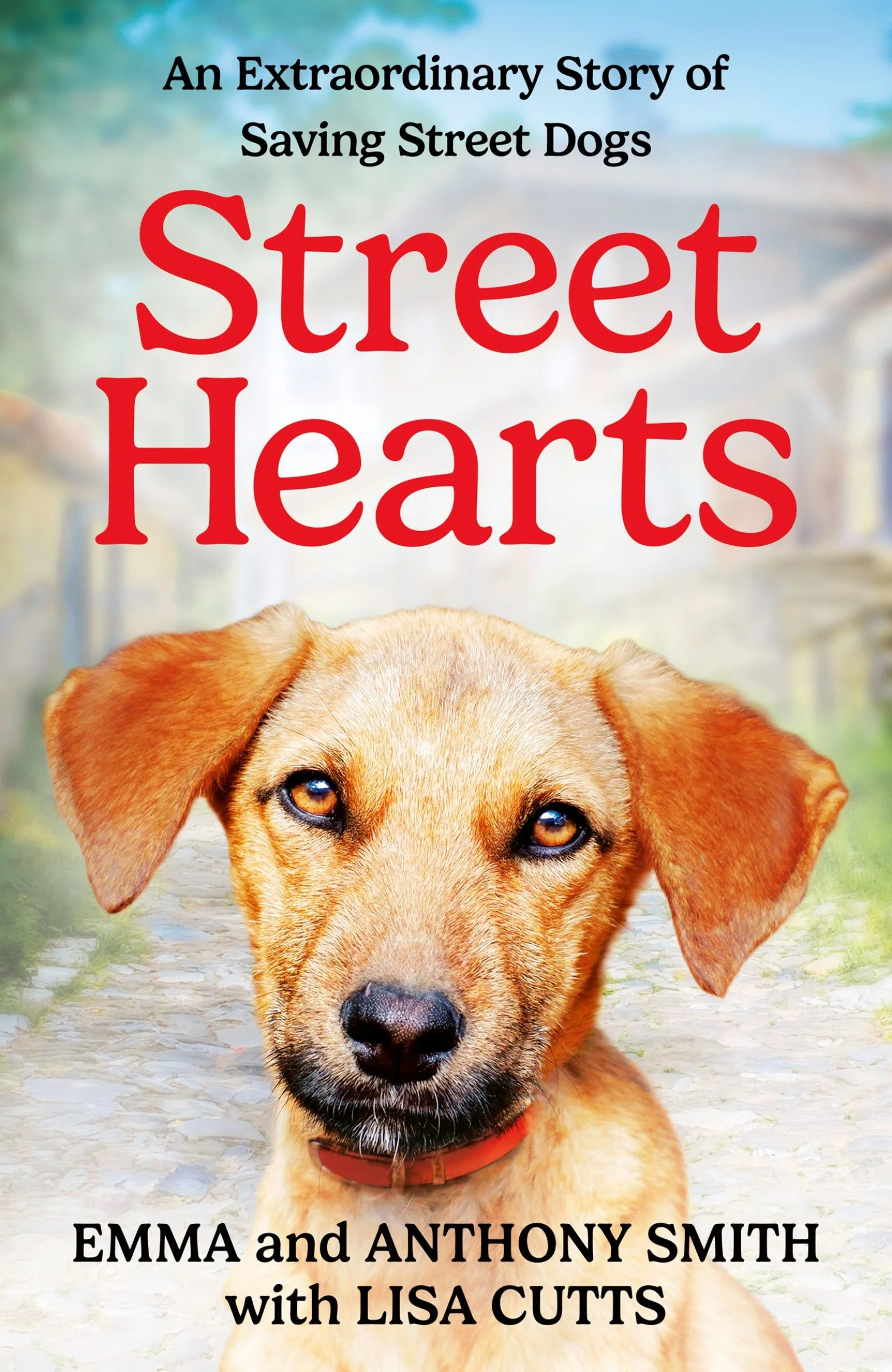 Street Hearts - Image 2