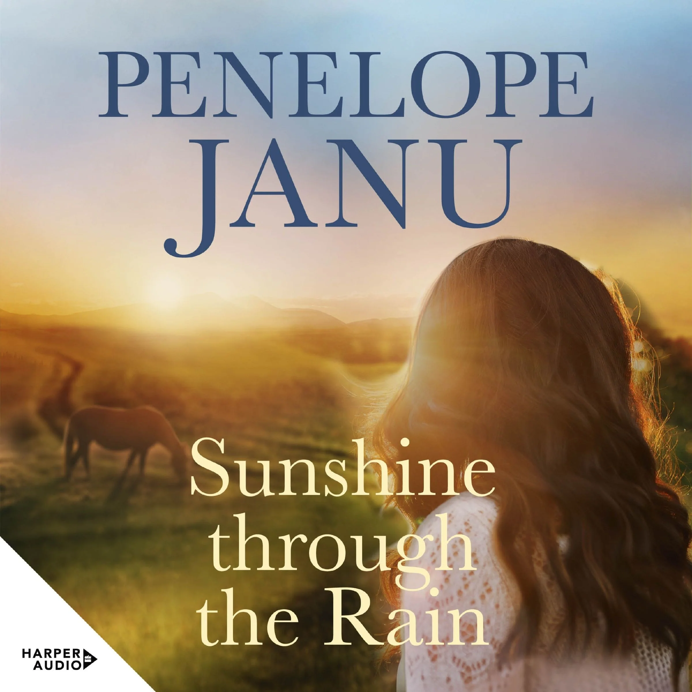 Sunshine through the Rain - Image 2