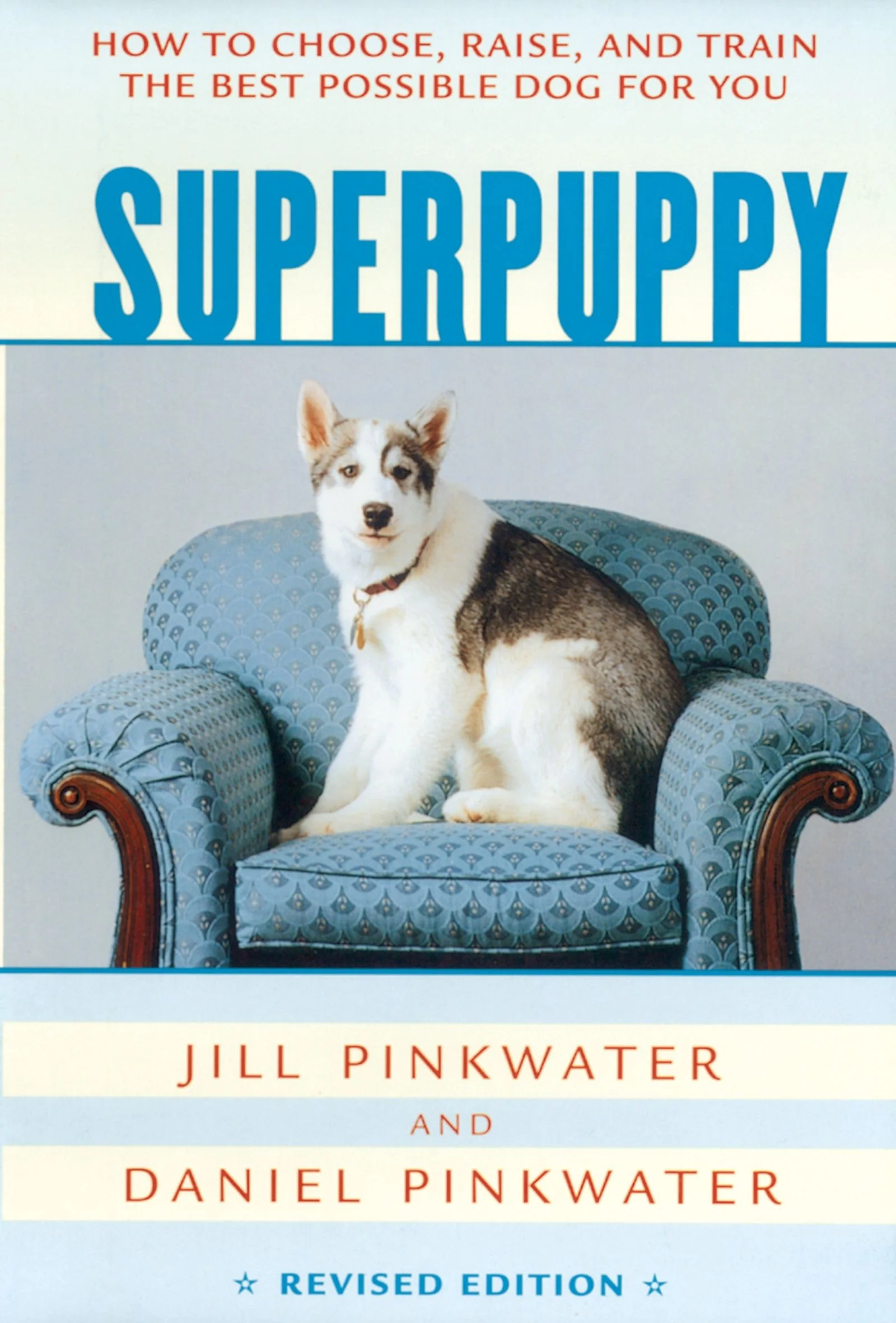 Superpuppy - Image 2