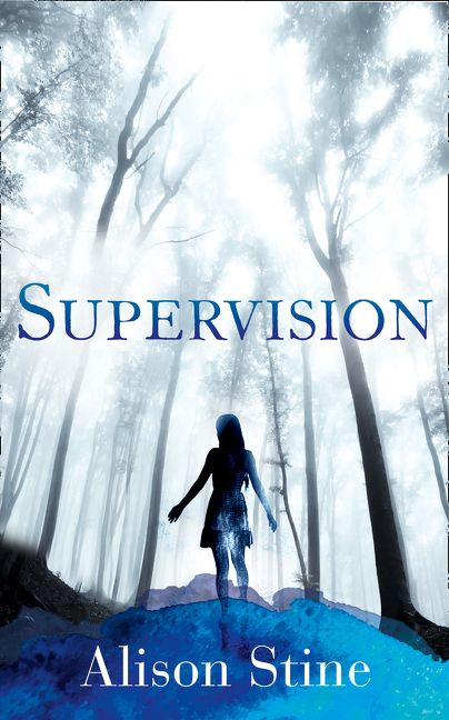 Supervision - Image 2