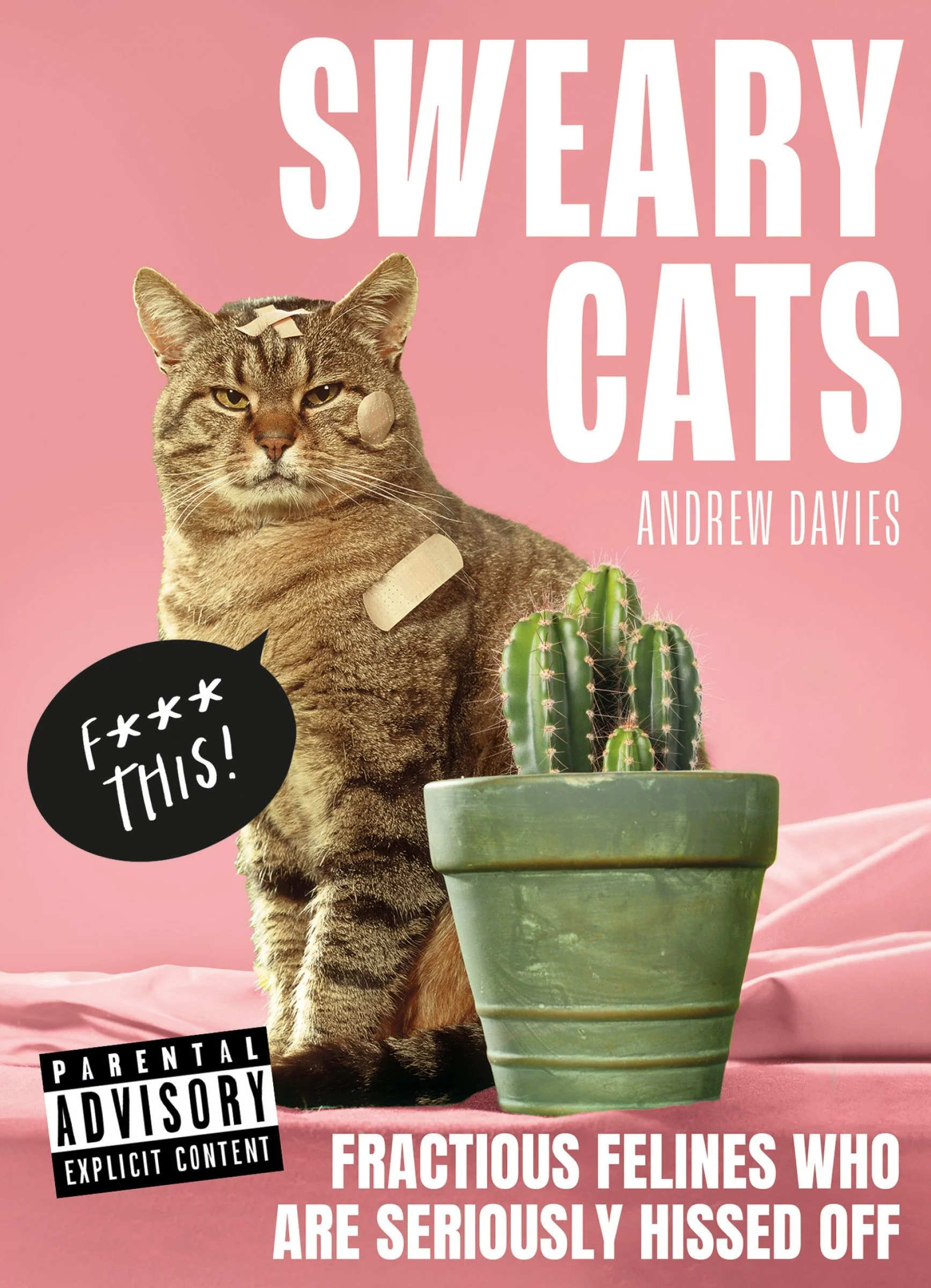 Sweary Cats - Image 2