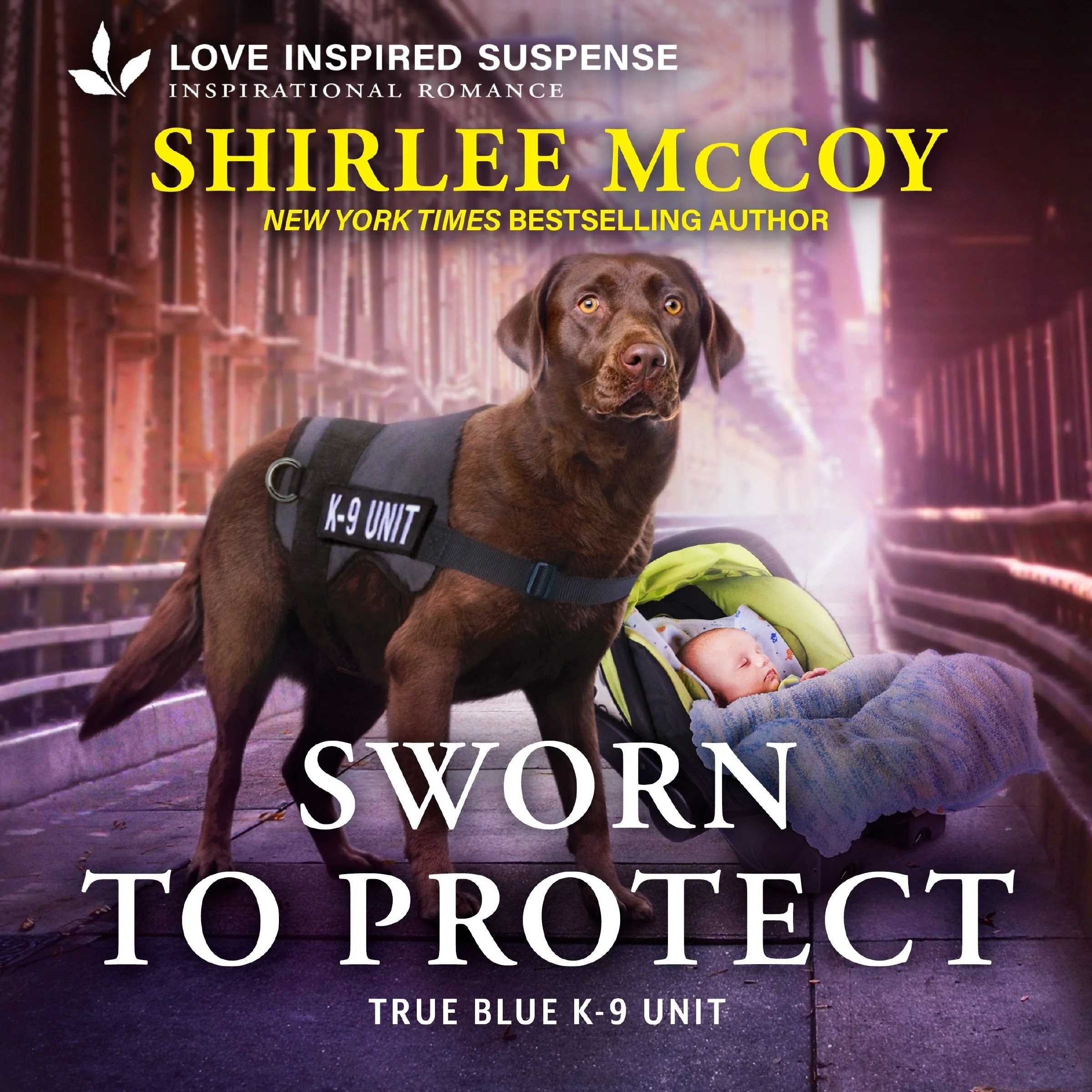 Sworn to Protect - Image 2