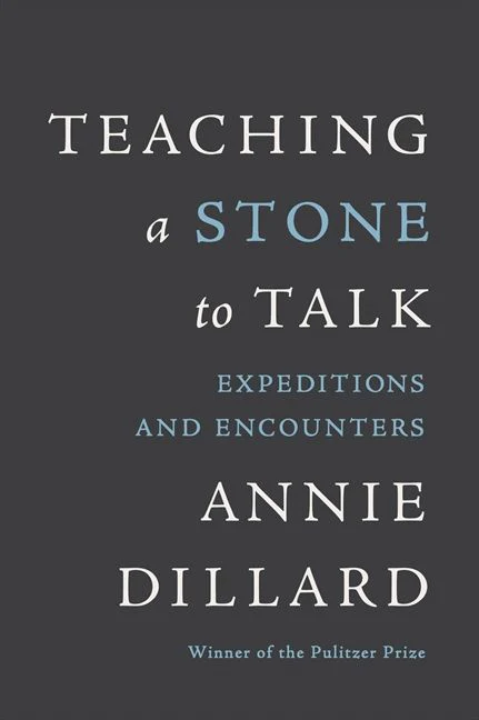 Teaching a Stone to Talk - Image 2