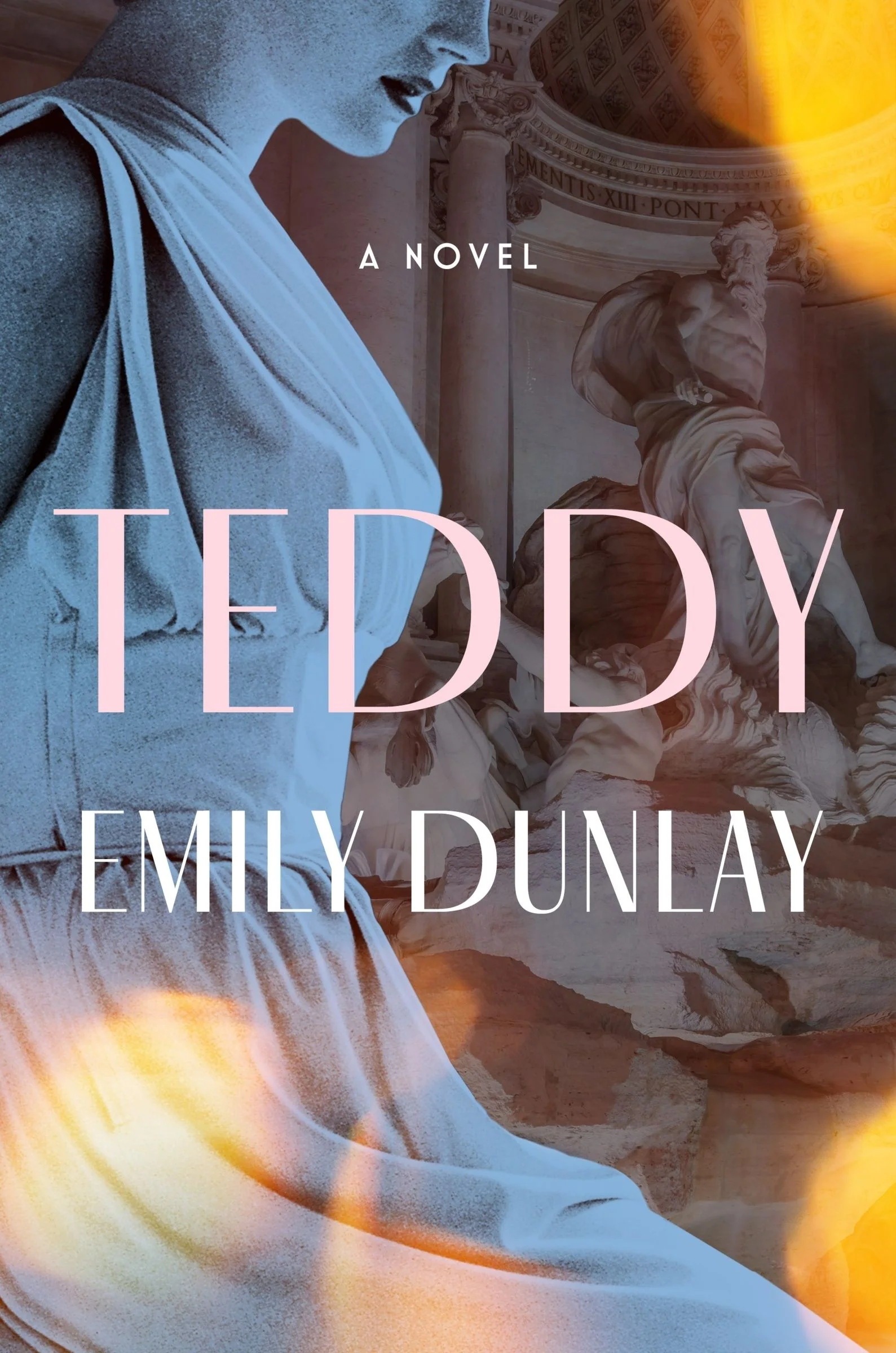 Teddy - Image 4