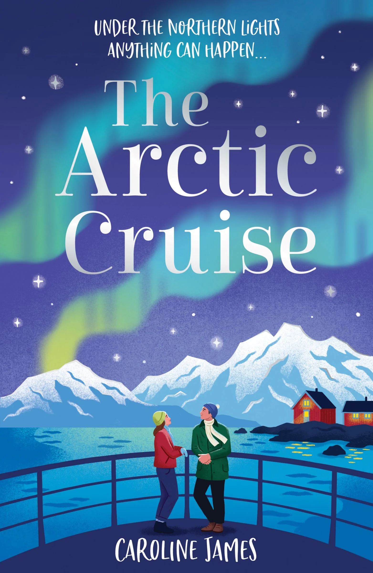 The Arctic Cruise - Image 3