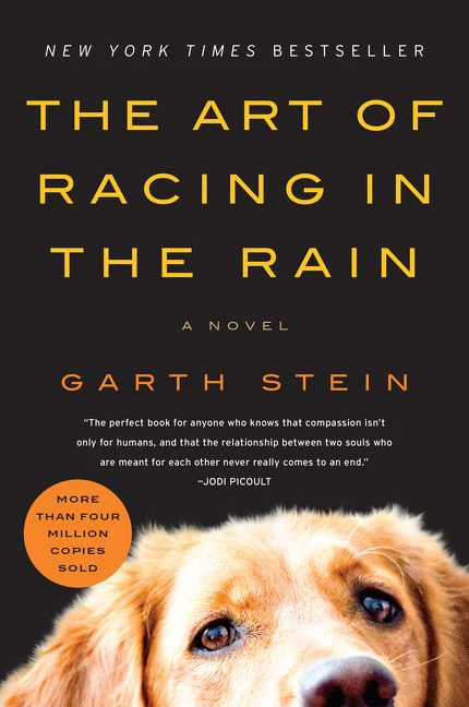 The Art of Racing in the Rain - Image 2