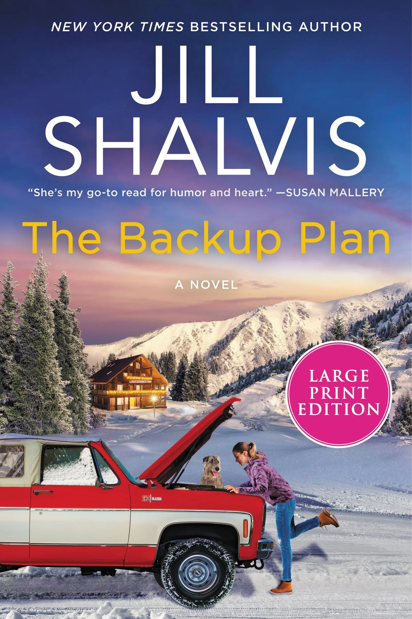 The Backup Plan - Image 3