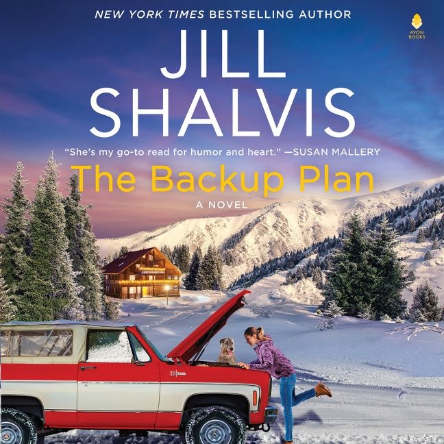 The Backup Plan - Image 6