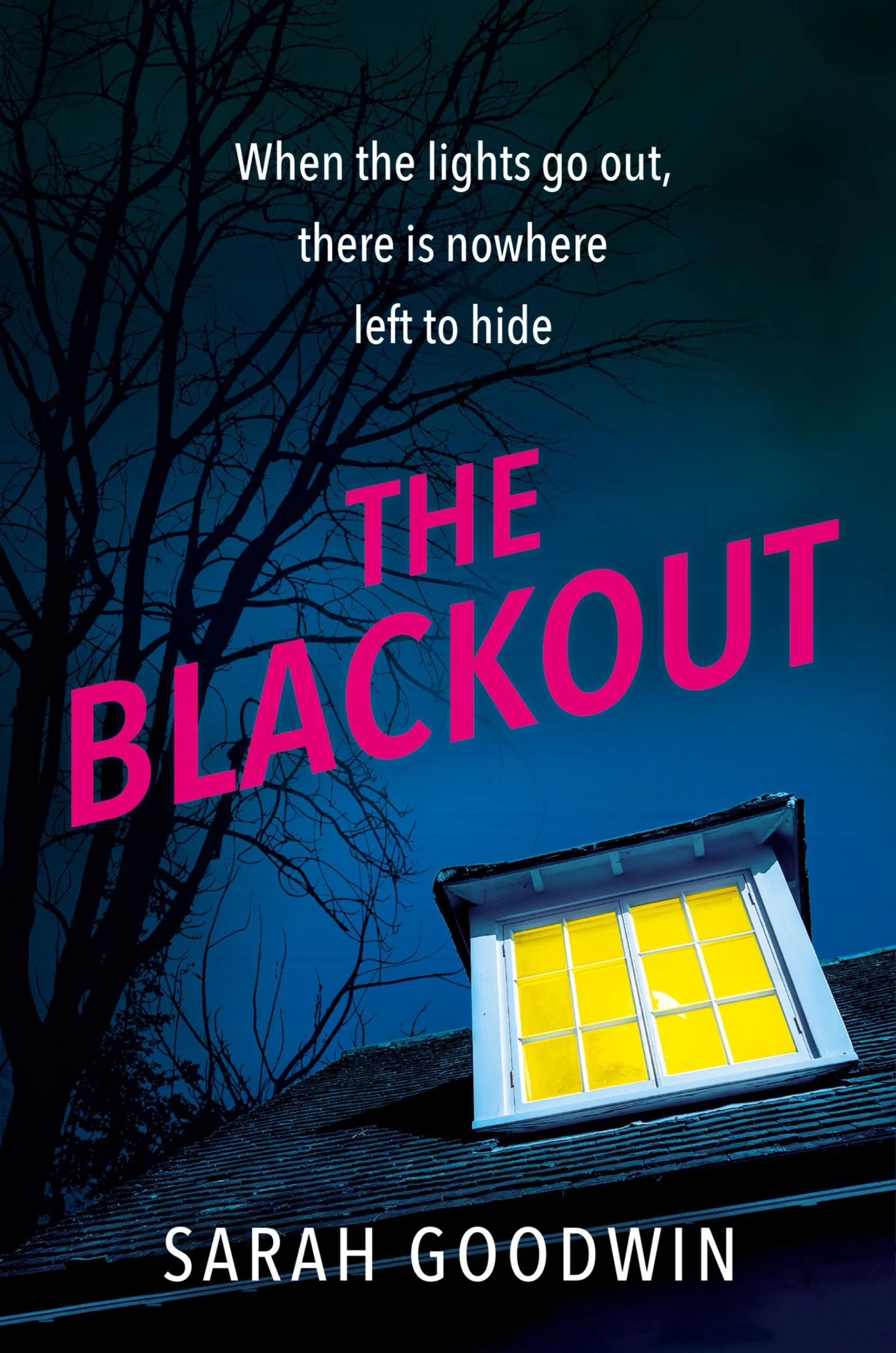 The Blackout (The Thriller Collection, Book 4) - Image 2